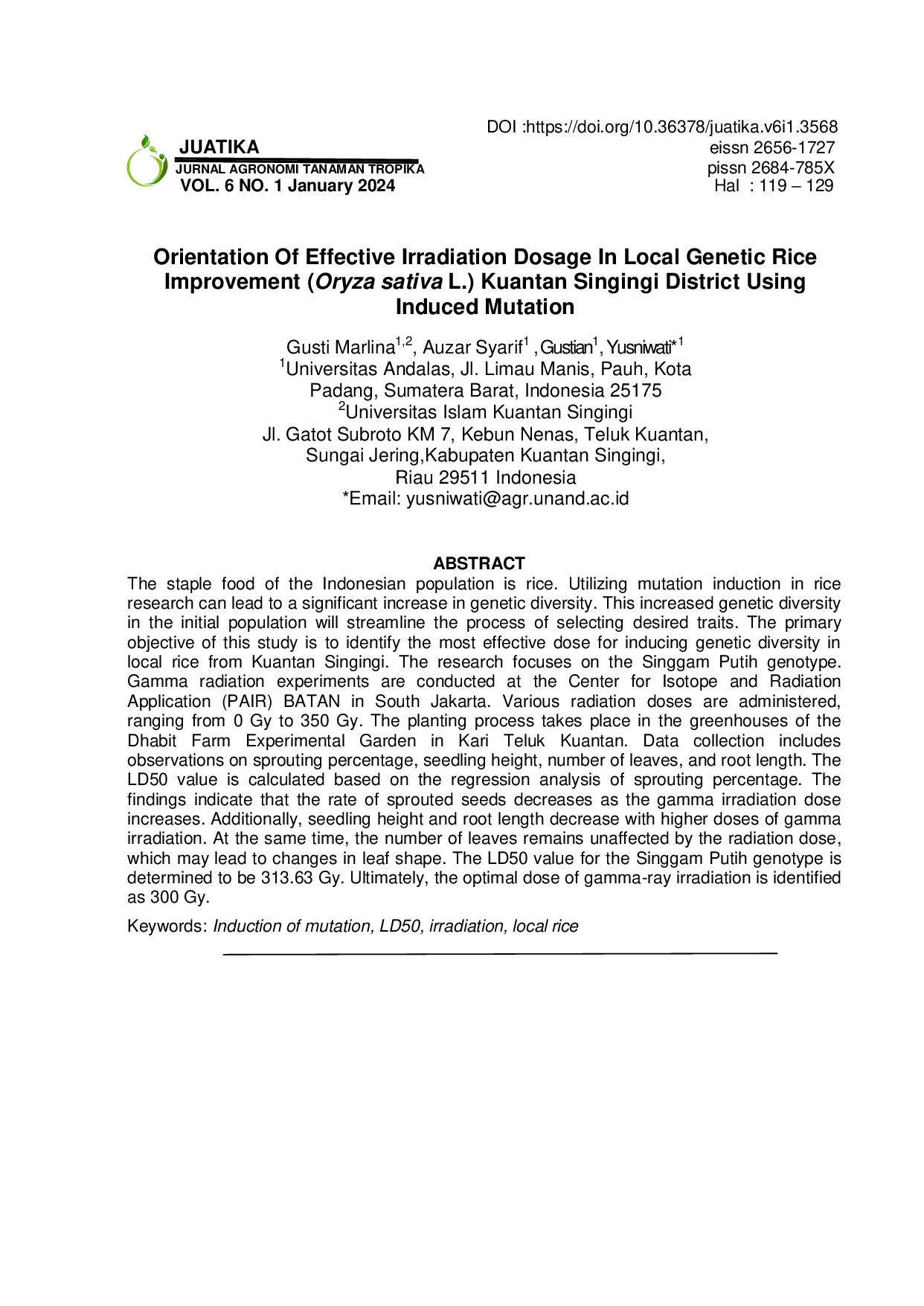 JURIS Orientation Of Effective Irradiation Dosage In Local Genetic Rice Improvement Oryza sativa L Kuantan Singingi District Using Induced Mutation