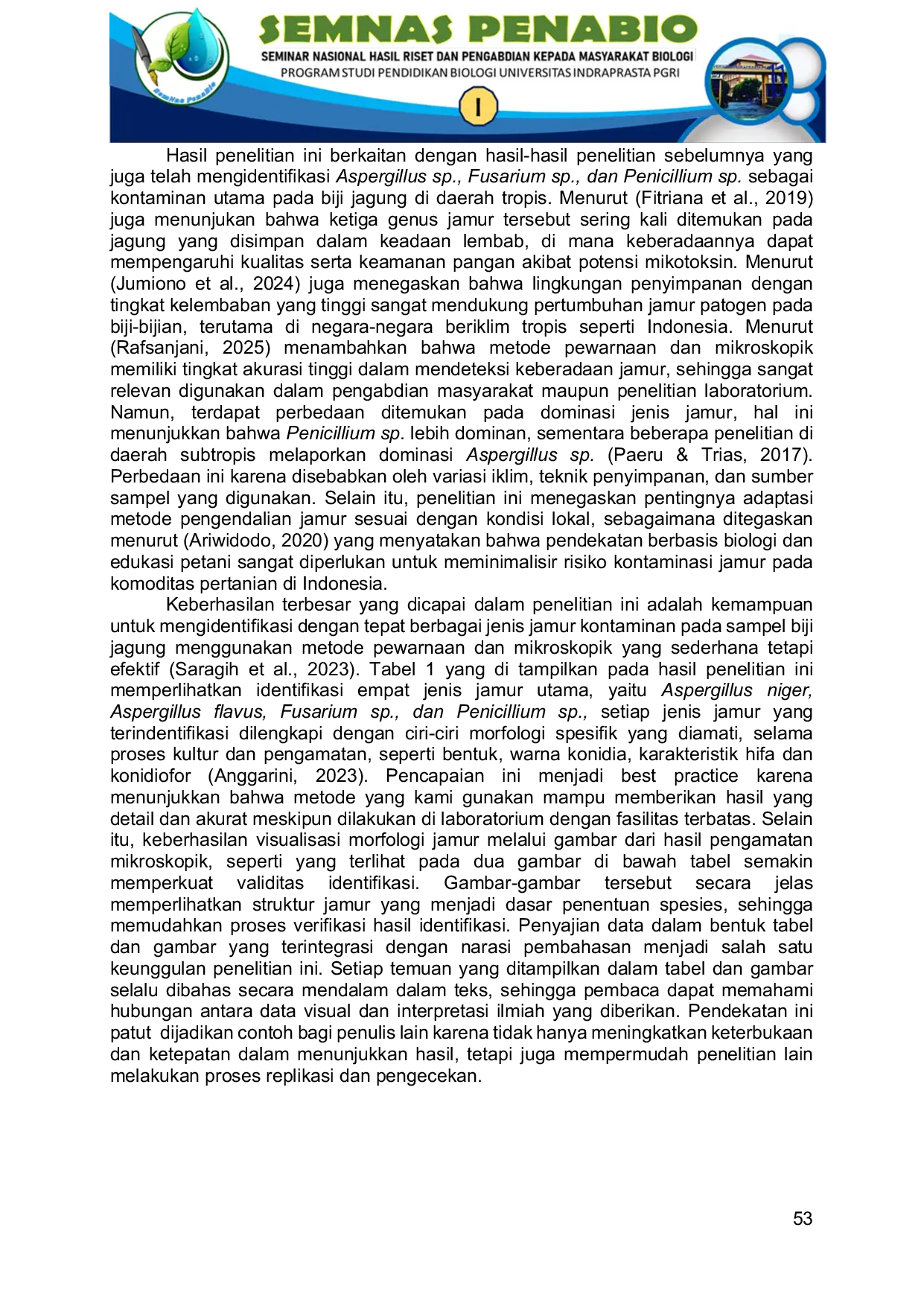 JURIS IDENTIFIKASI MIKROSKOPIK FUNGI PADA BIJI JAGUNG Zea Mays L MENGGUNAKAN METODE PEWARNAAN