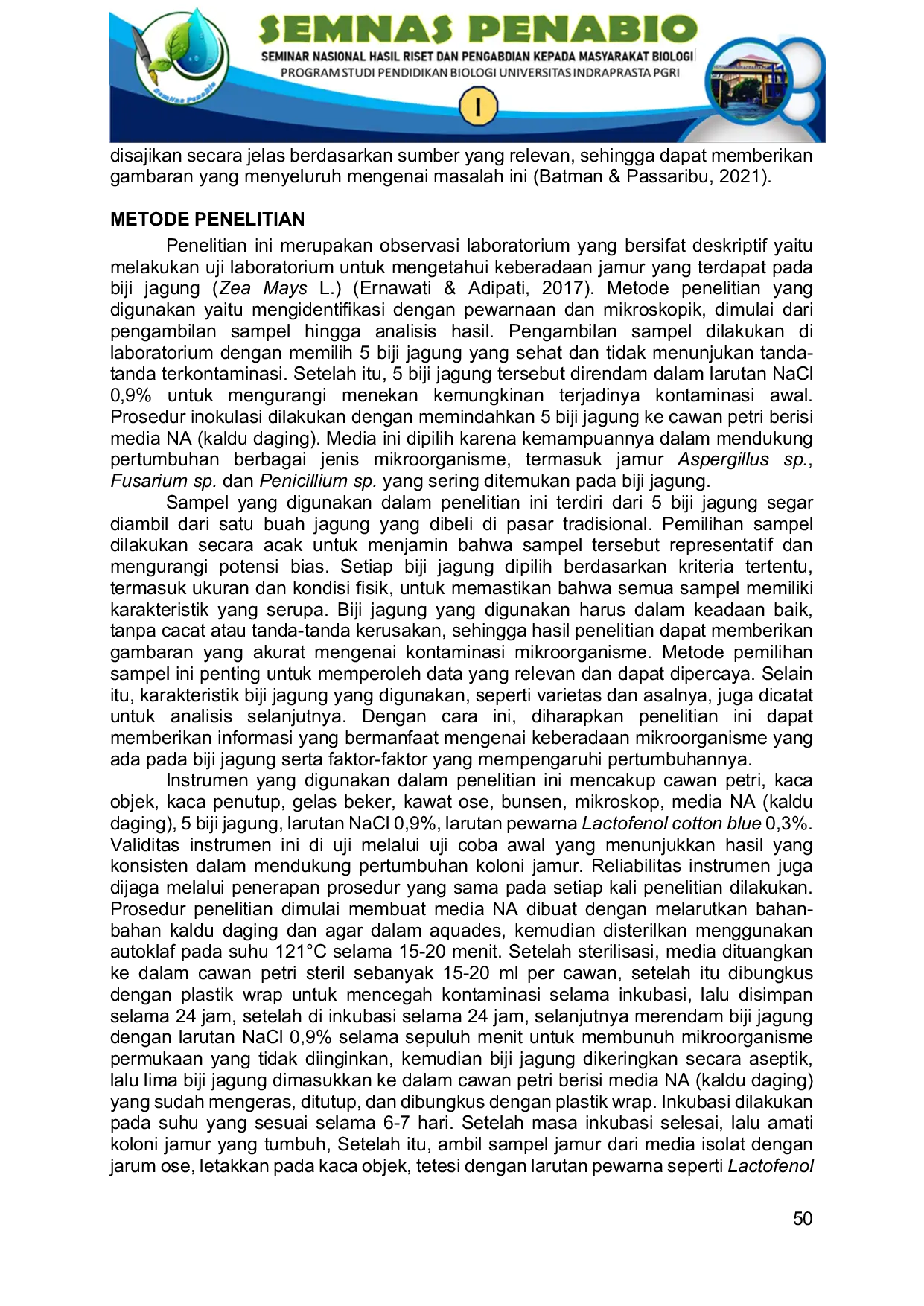 JURIS IDENTIFIKASI MIKROSKOPIK FUNGI PADA BIJI JAGUNG Zea Mays L MENGGUNAKAN METODE PEWARNAAN