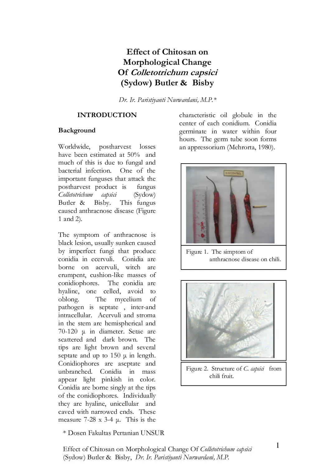 JURIS Effect of Chitosan on Morphological Change Of Colletotrichum capsici Sydow Butler Bisby