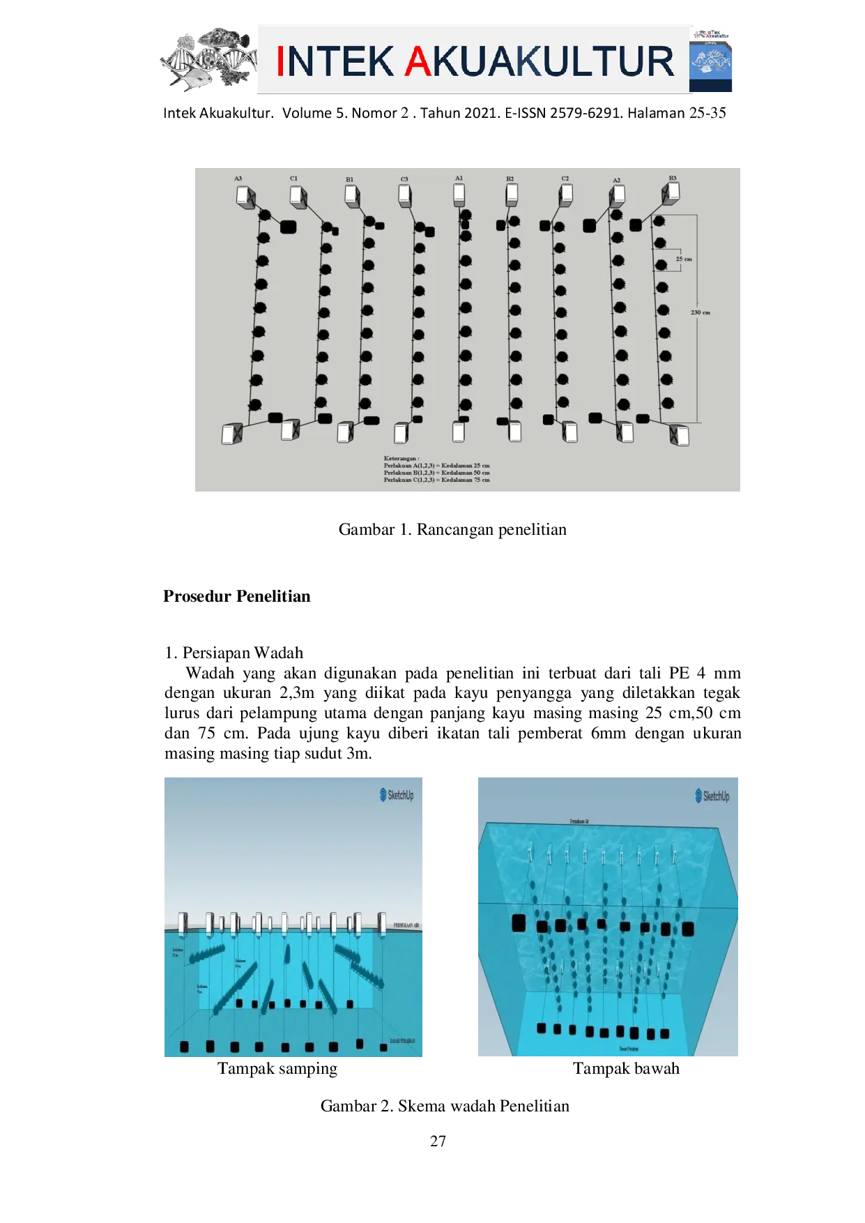 JURIS PENGARUH KEDALAMAN TERHADAP PERTUMBUHAN RUMPUT LAUT Kappaphycus alvarezii MENGGUNAKAN METODE LONGLINE