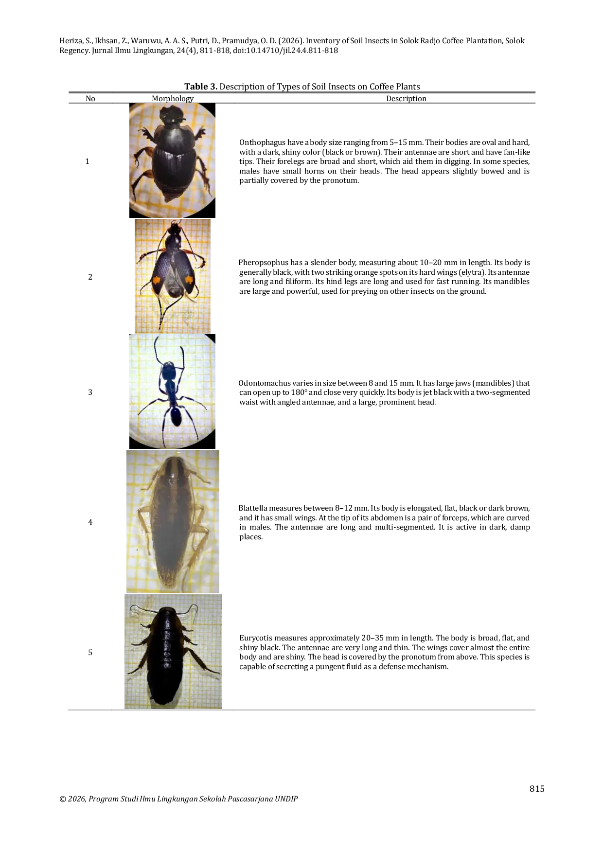 JURIS Inventory of Soil Insects in Solok Radjo Coffee Plantation Solok Regency