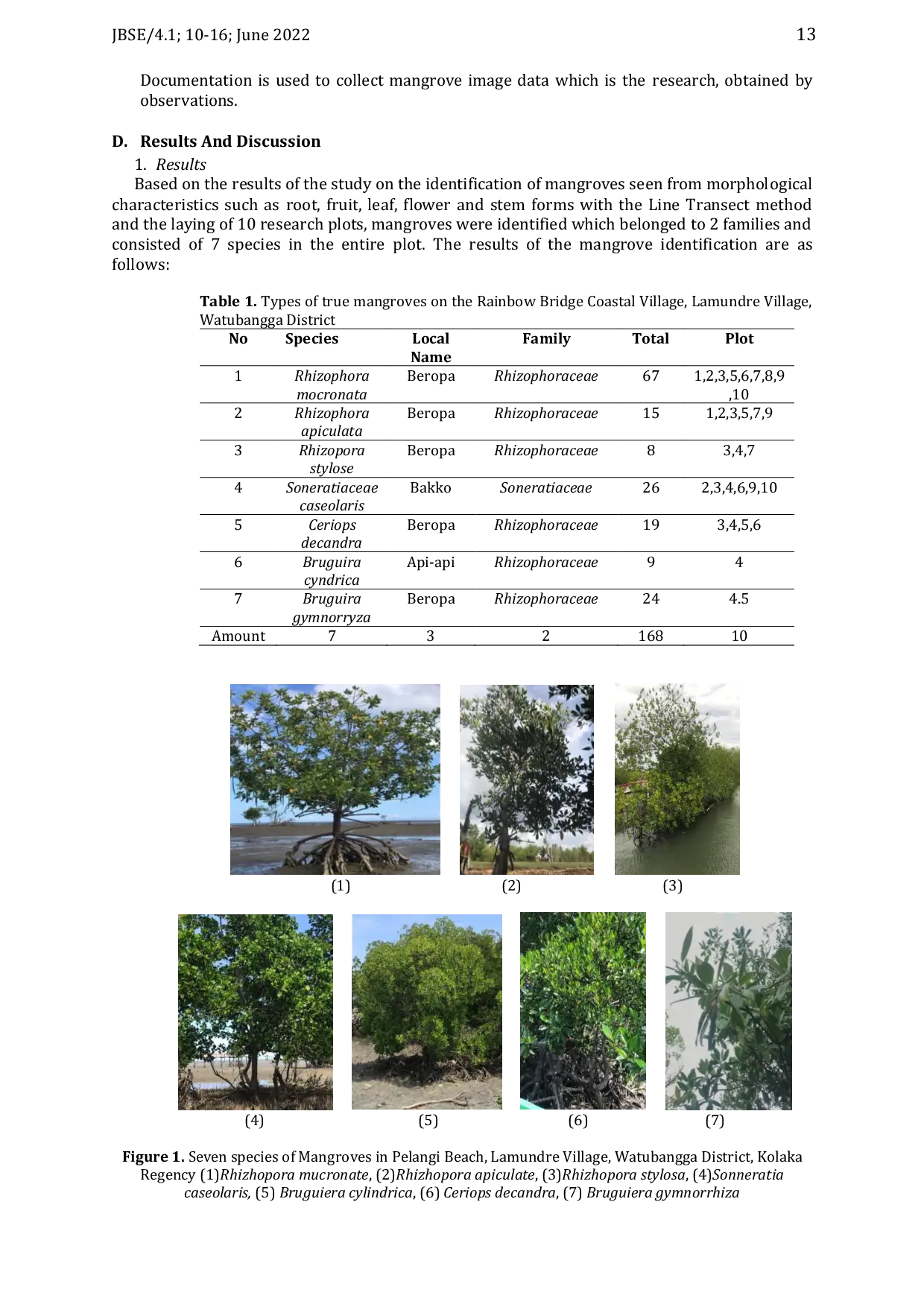 JURIS Identifikasi Mangrove di Pantai Pelangi Desa Lamundre Kecamatan Watubangga Kabupaten Kolaka