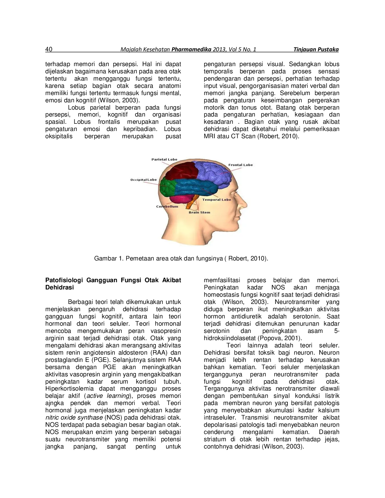 juris Air dan Gangguan Fungsi Kognitif