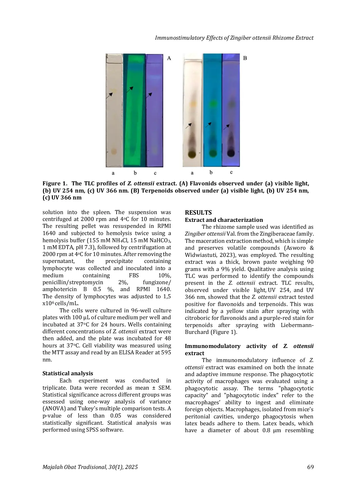 JURIS Immunostimulatory Effects of Zingiber ottensii Rhizome Extract on Mouse Lymphocytes and Peritoneal Macrophages