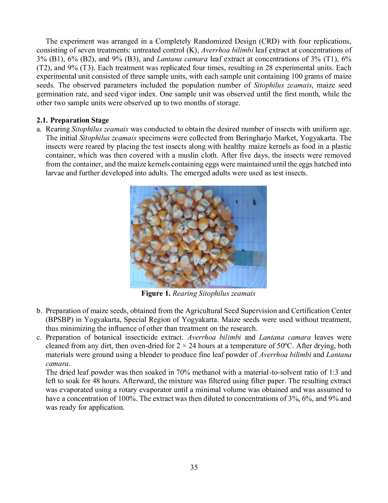 JURIS Effectiveness of Bilimbi Averrhoa bilimbi and Lantana Lantana camara Leaf Extracts as Botanical Insecticides for Controlling Maize weevil Sitophilus zeamais