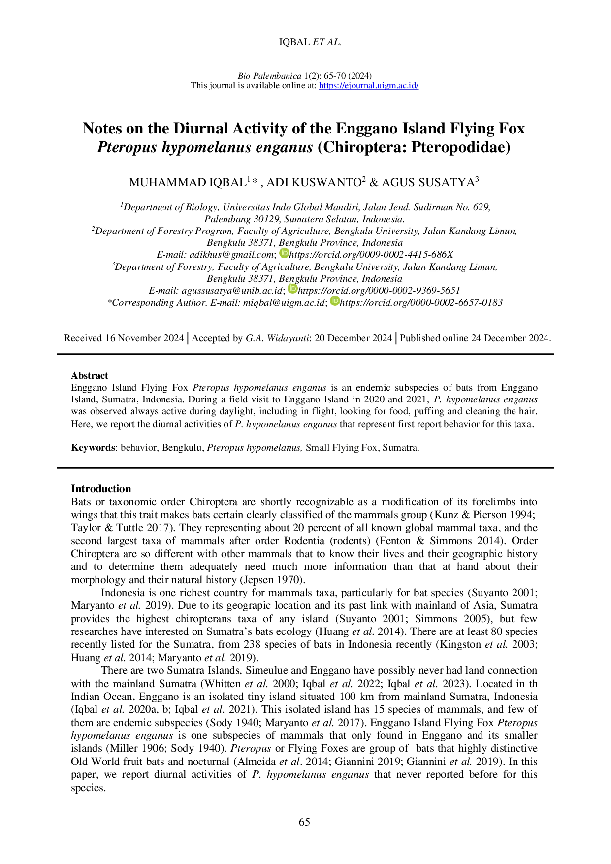 JURIS Notes on the Diurnal Activity of the Enggano Flying Fox Pteropus hypomelanus enganus Chiroptera Pteropodidae The Enggano Flying Fox Pteropus hypomelanus enganus