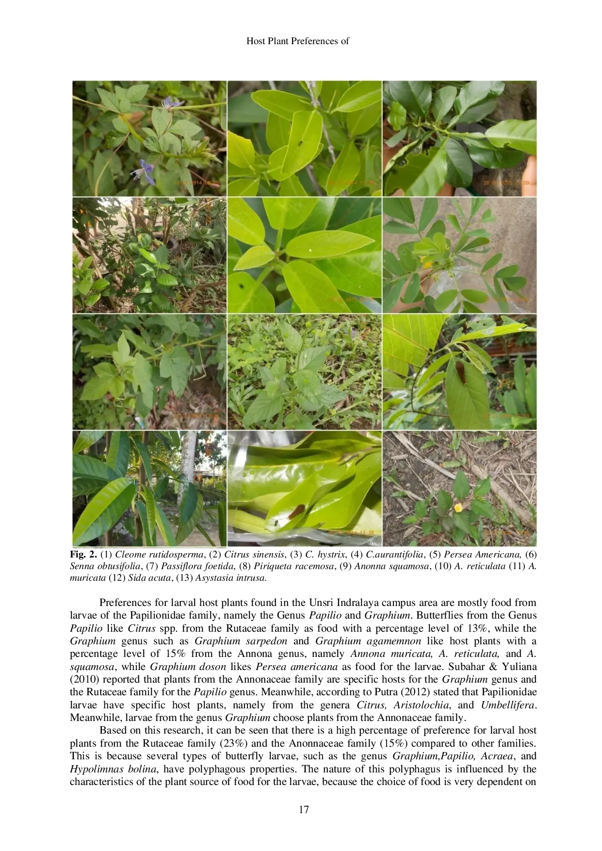 JURIS Host Plant Preferences of Butterflies Lepidoptera Rhopalocera in Sriwijaya University Campus of Indralaya South Sumatra