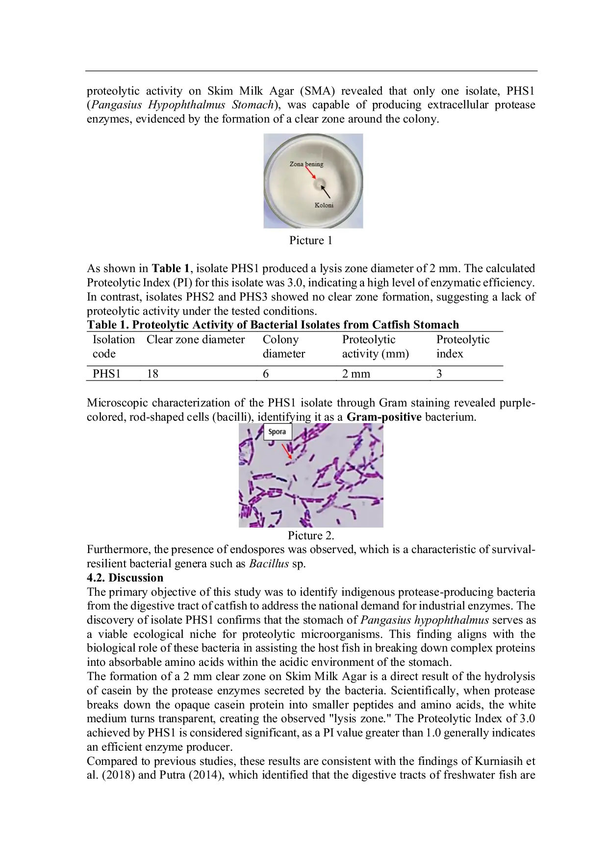 JURIS Isolation and Screening of Proteolytic Bacteria Isolated from the Digestive Tract of Pangasius Catfish Patin Pangasius hypophthalmus