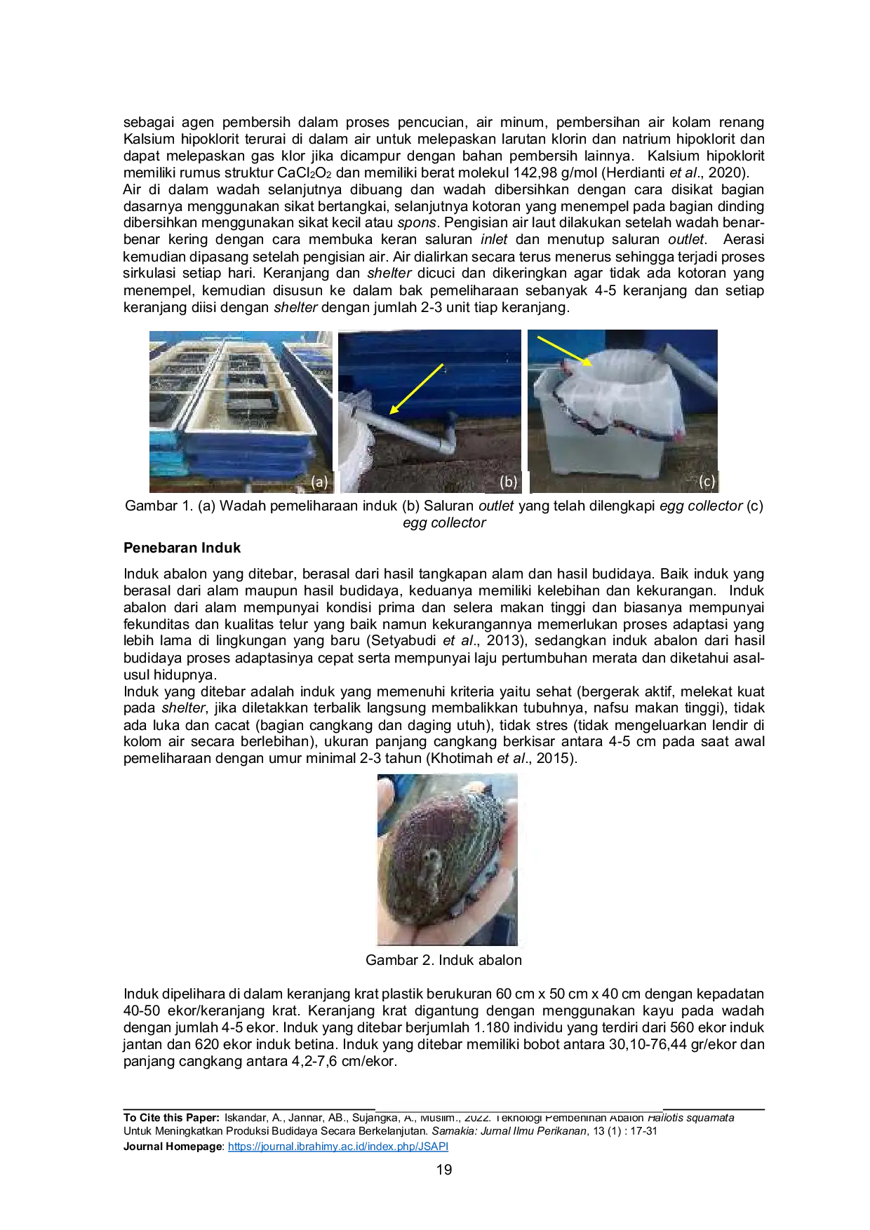 JURIS Teknologi Pembenihan Abalon Haliotis squamata Untuk Meningkatkan Produksi Budidaya Secara Berkelanjutan Seeding Technology of Haliotis squamata to Improve Sustainable Aquaculture Production
