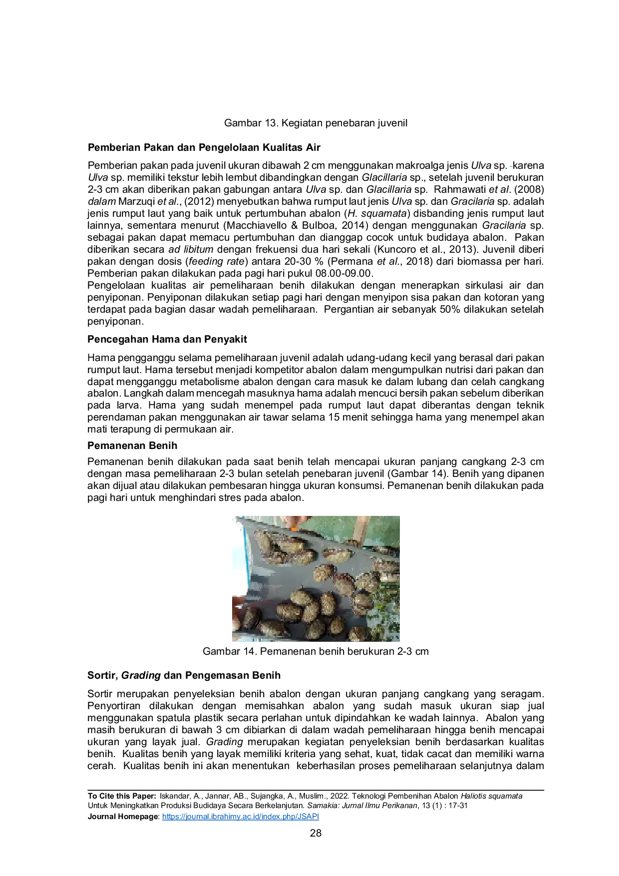 JURIS Teknologi Pembenihan Abalon Haliotis squamata Untuk Meningkatkan Produksi Budidaya Secara Berkelanjutan Seeding Technology of Haliotis squamata to Improve Sustainable Aquaculture Production