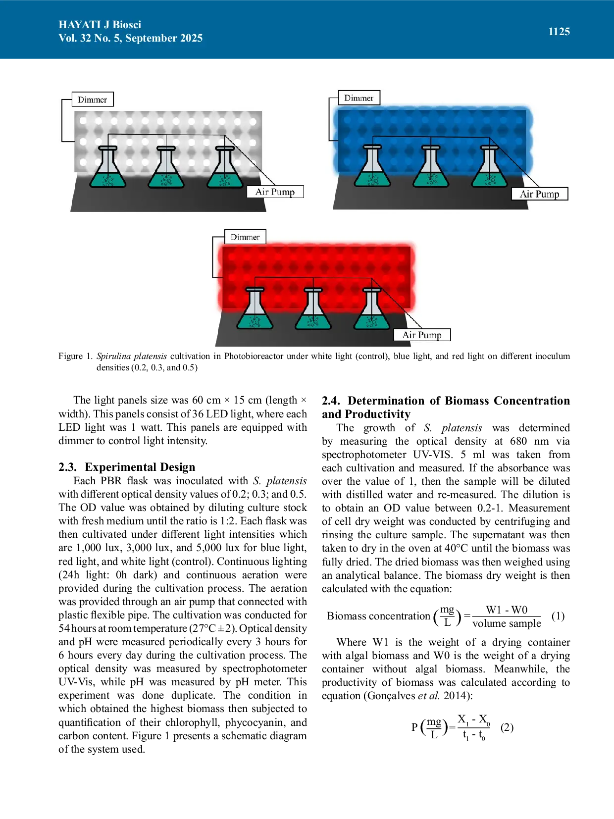 JURIS Effect of Light Quality Light Intensity and Cell Inoculum Arrangement on Growth Pigment and Carbon Content from Spirulina platensis using LED Light