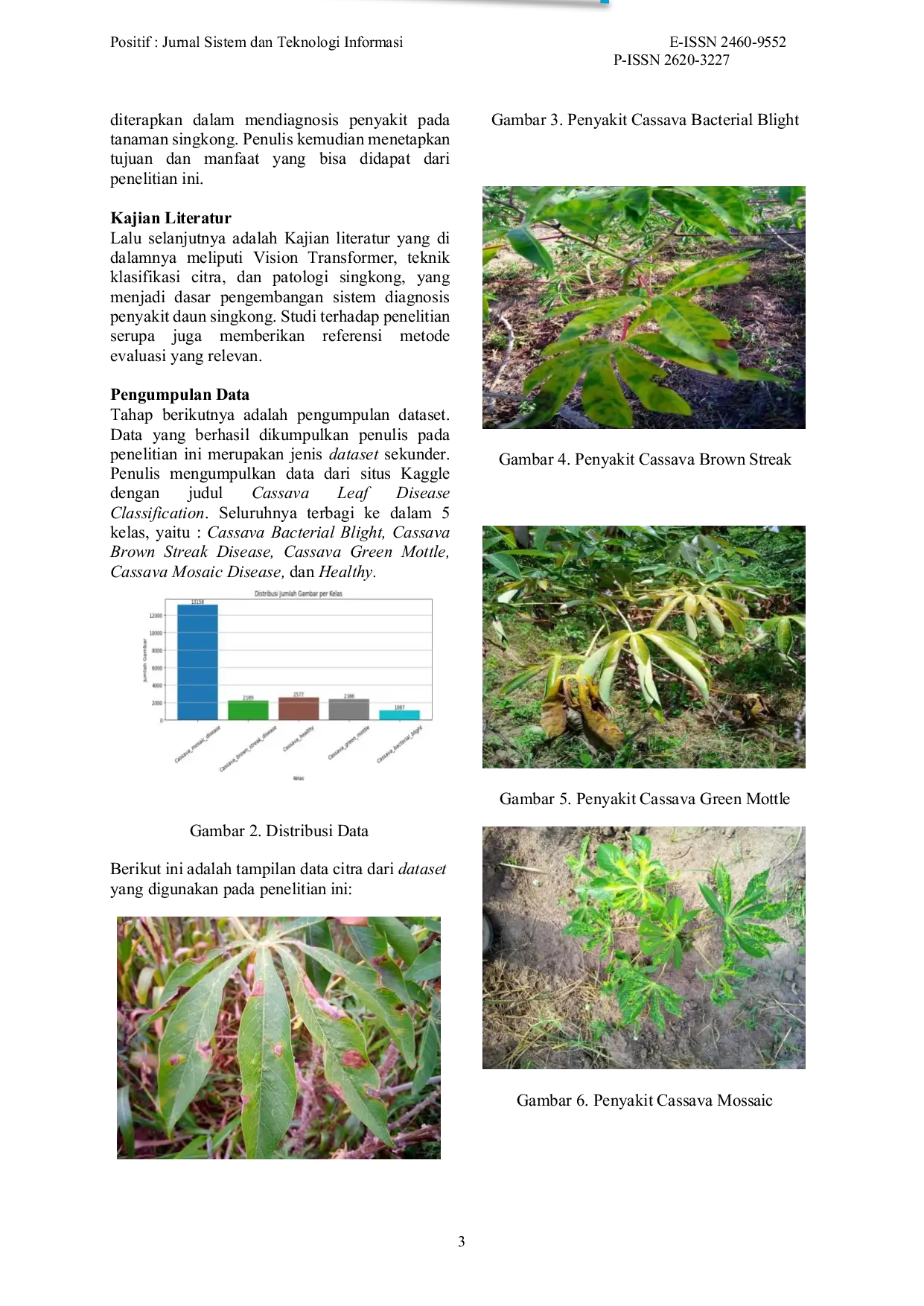 JURIS Klasifikasi Penyakit Pada Tanaman Daun Singkong Menggunakan Vision Transformer