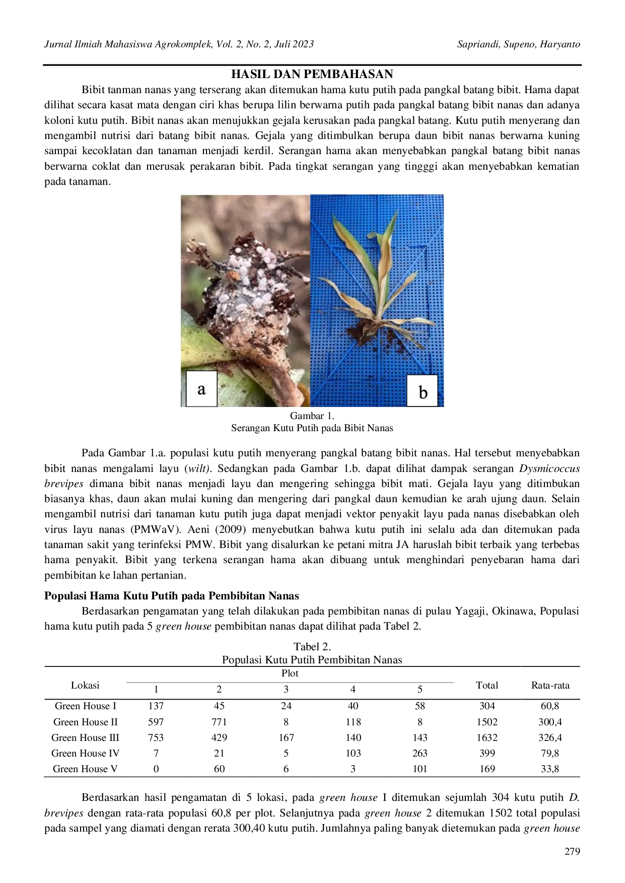 JURIS Kepadatan Populasi dan Intensitas Serangan Hama Kutu Putih Hemiptera Pseudococcidae pada Pembibitan Nanas Ananas comosus L di Okinawa