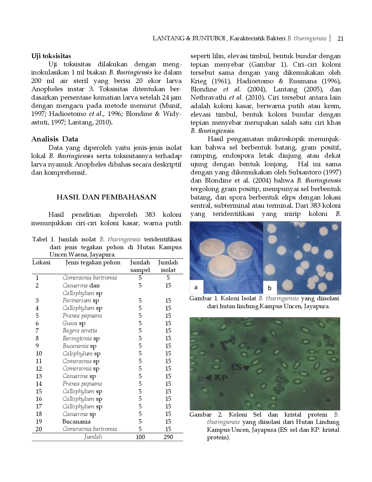 juris Karakterisasi Bakteri Bacillus thuringiensis asal Hutan Lindung Kampus Uncen Jayapura serta Deteksi Toksisitasnya terhadap Larva Nyamuk Anopheles