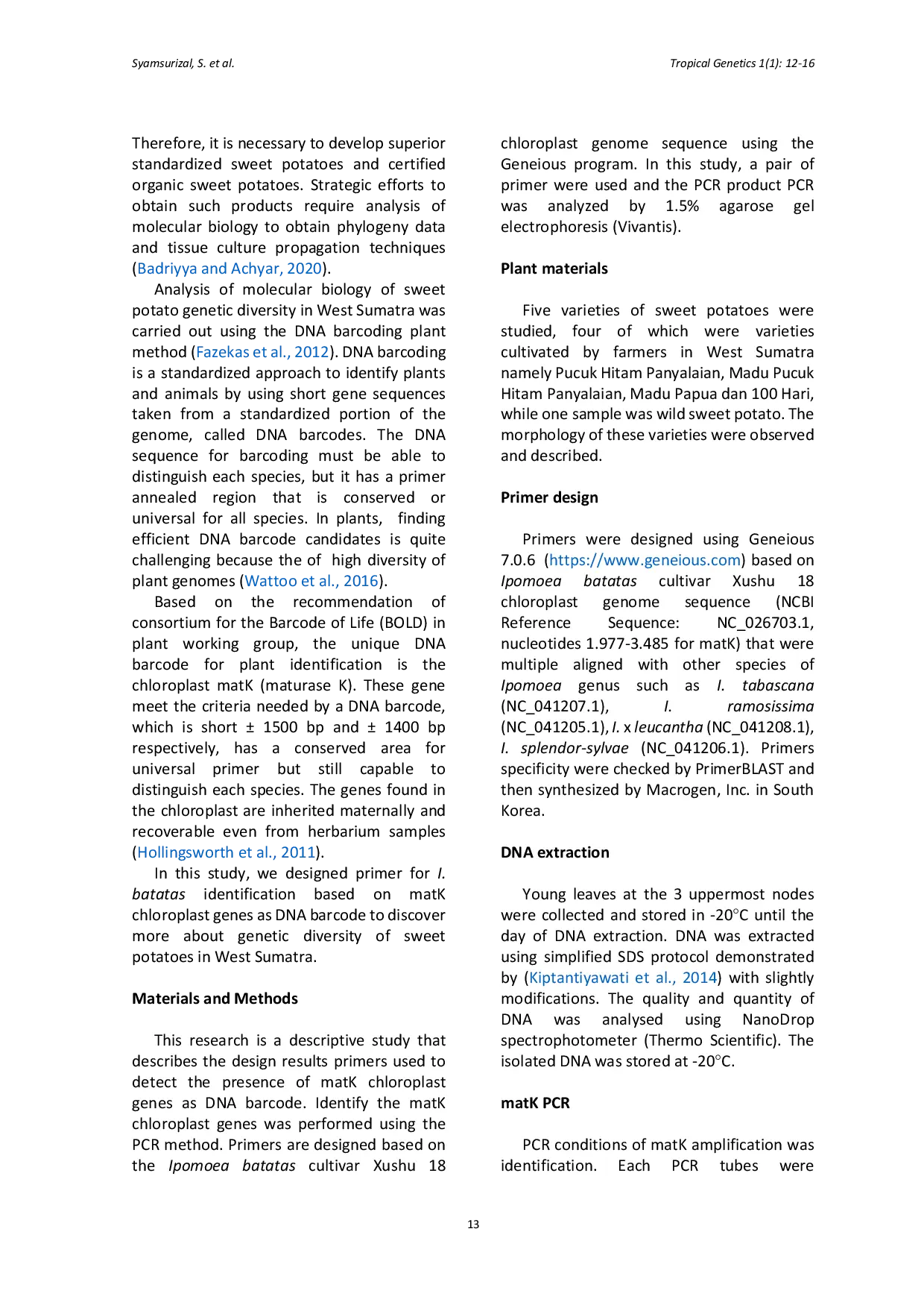 JURIS Design of primer Ipomoea batatas chloroplast gene matK