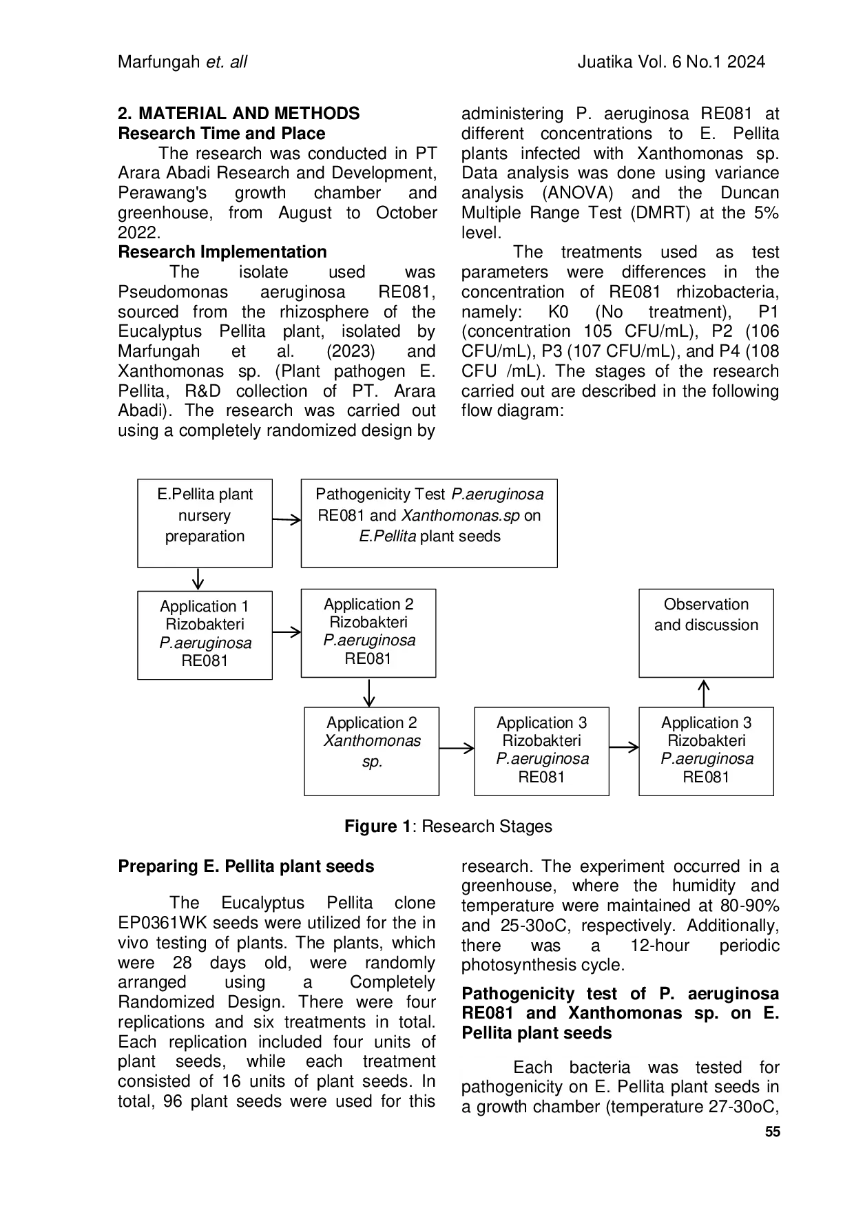 JURIS Strategy For Controlling Bacterial Leaf Blight Xanthomonas sp on Eucalyptus Pellita Plants by Administering P aeruginosa RE081