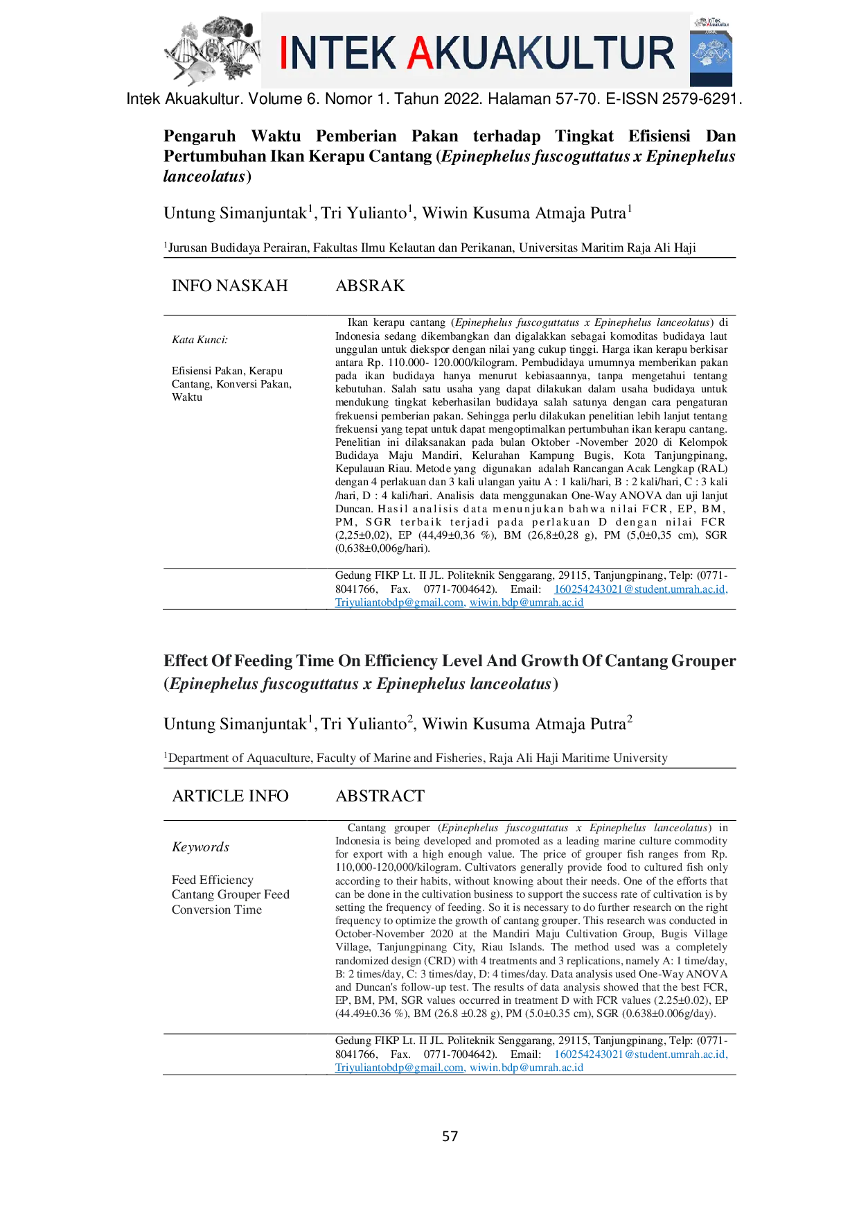 JURIS Pengaruh Waktu Pemberian Pakan terhadap Tingkat Efisiensi Dan Pertumbuhan Ikan Kerapu Cantang Epinephelus fuscoguttatus x Epinephelus lanceolatus