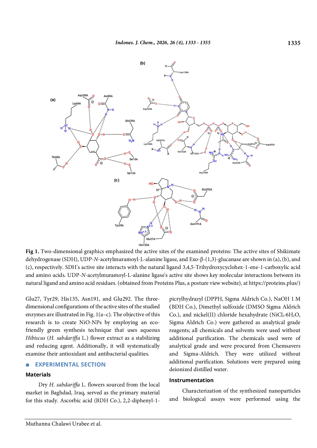 JURIS Eco Friendly Synthesis of Nickel Oxide Nanoparticles Using Hibiscus sabdariffa Flower Antioxidant Antimicrobial and In Silico Approaches
