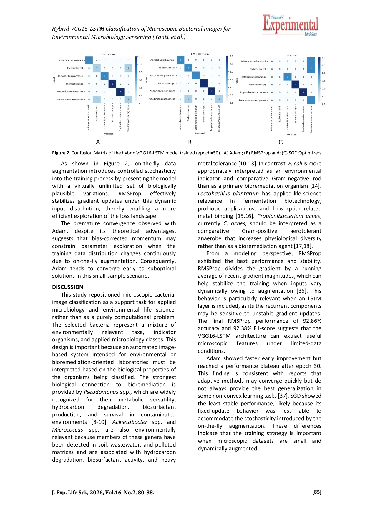JURIS Hybrid VGG16 LSTM Classification of Microscopic Bacterial Images for Environmental Microbiology Screening