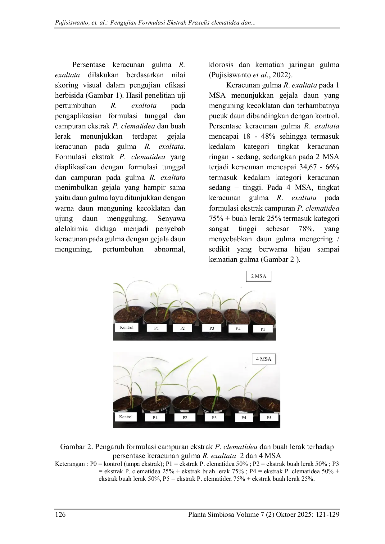 JURIS Pengujian Formulasi Ekstrak Praxelis clematidea dan Buah Lerak terhadap Pertumbuhan Gulma Rottboellia exaltata