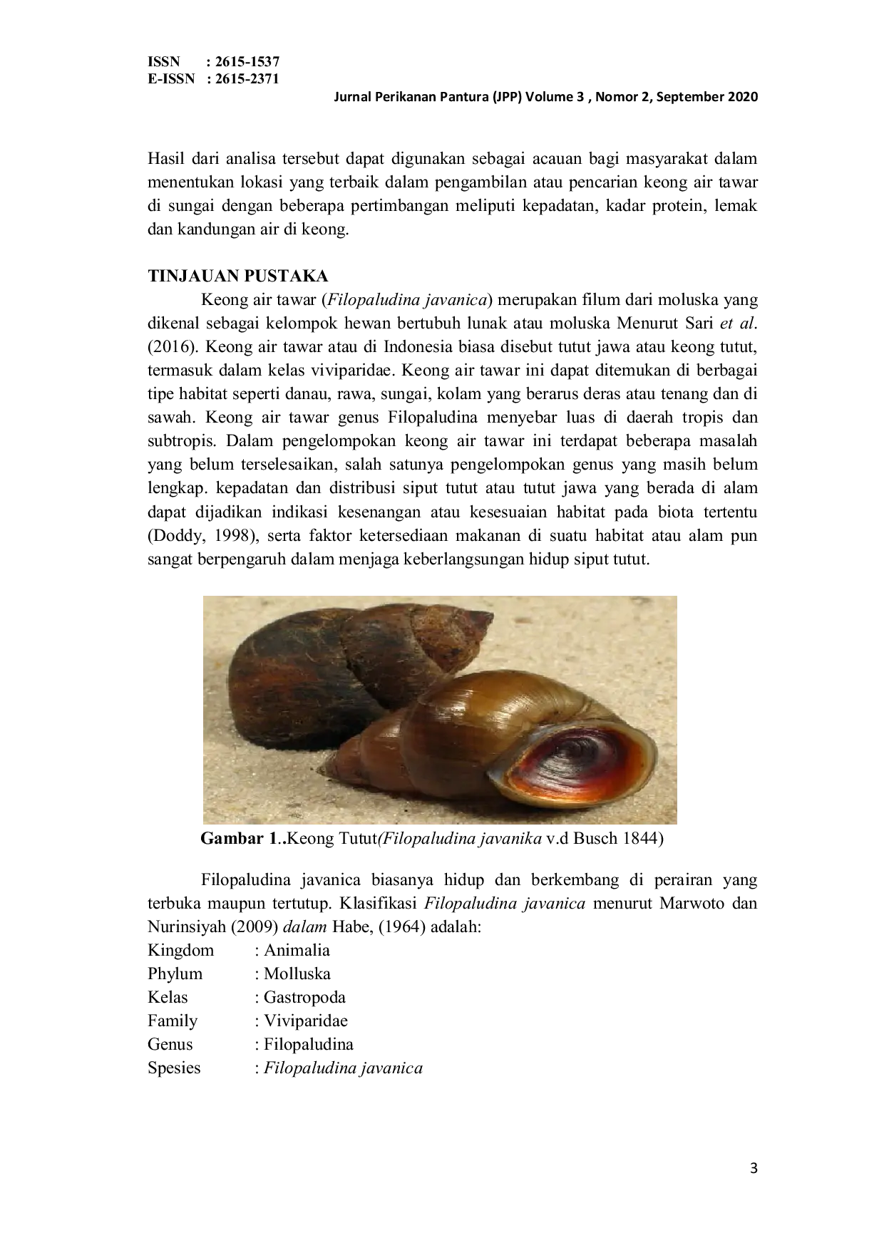 JURIS ANALISIS KANDUNGAN PROTEIN LEMAK DAN KADAR AIR KEONG AIR TAWAR Filopaludina javanica DI SUNGAI WAUNG KECAMATAN GLAGAH KABUPATEN LAMONGAN