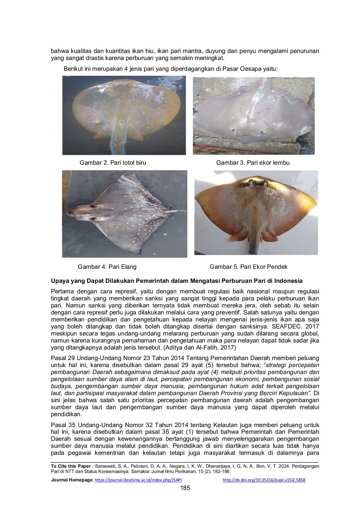 JURIS Perdagangan Pari di NTT dan Status Konservasinya