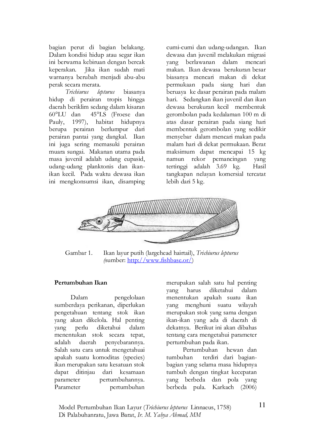 JURIS MODEL PERTUMBUHAN IKAN LAYUR Trichiurus lepturus Linnaeus 1758 DI PALABUHANRATU JAWA BARAT