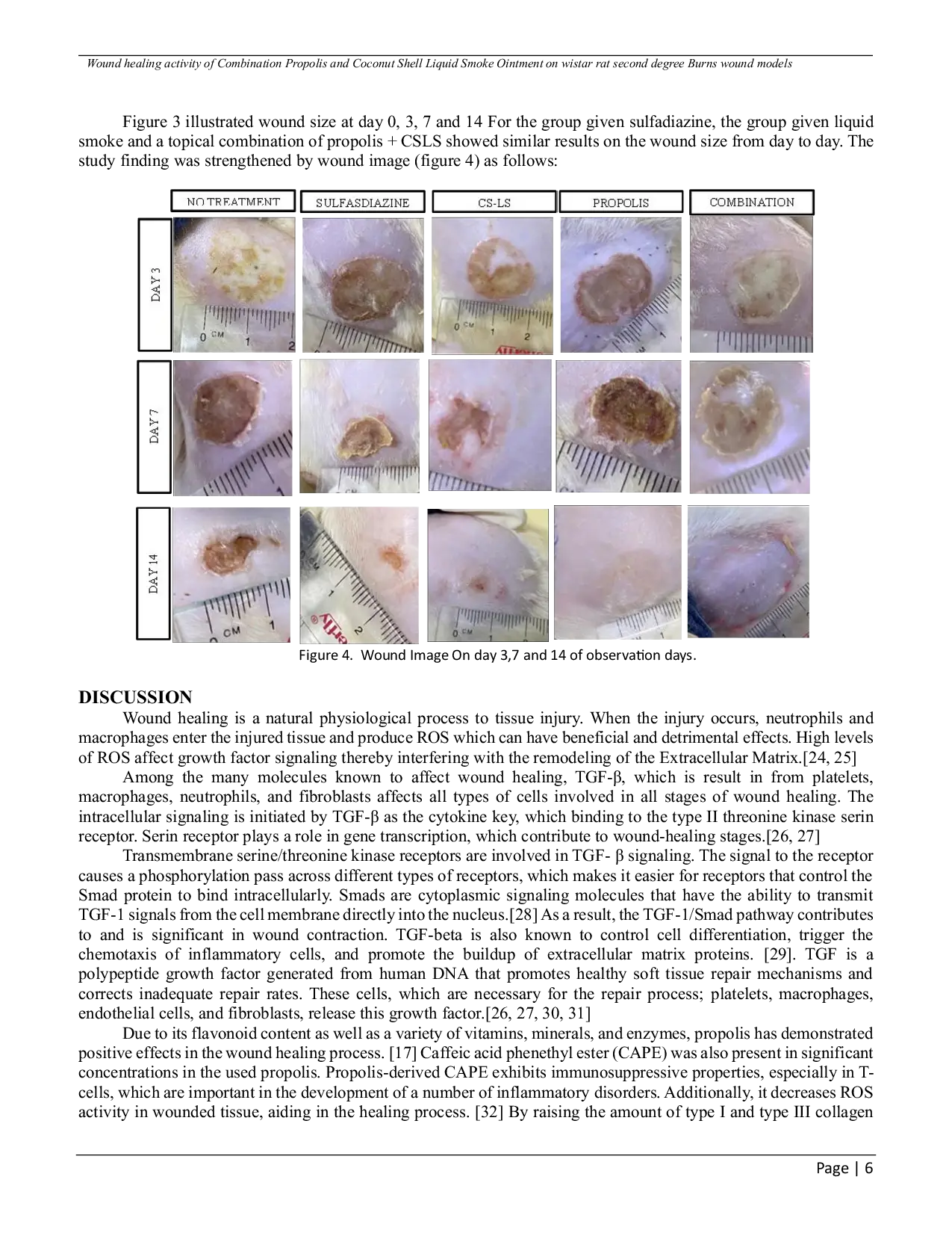 JURIS Wound healing activity of Combination Propolis and Coconut Shell Liquid Smoke Ointment on wistar rat second degree Burns wound models