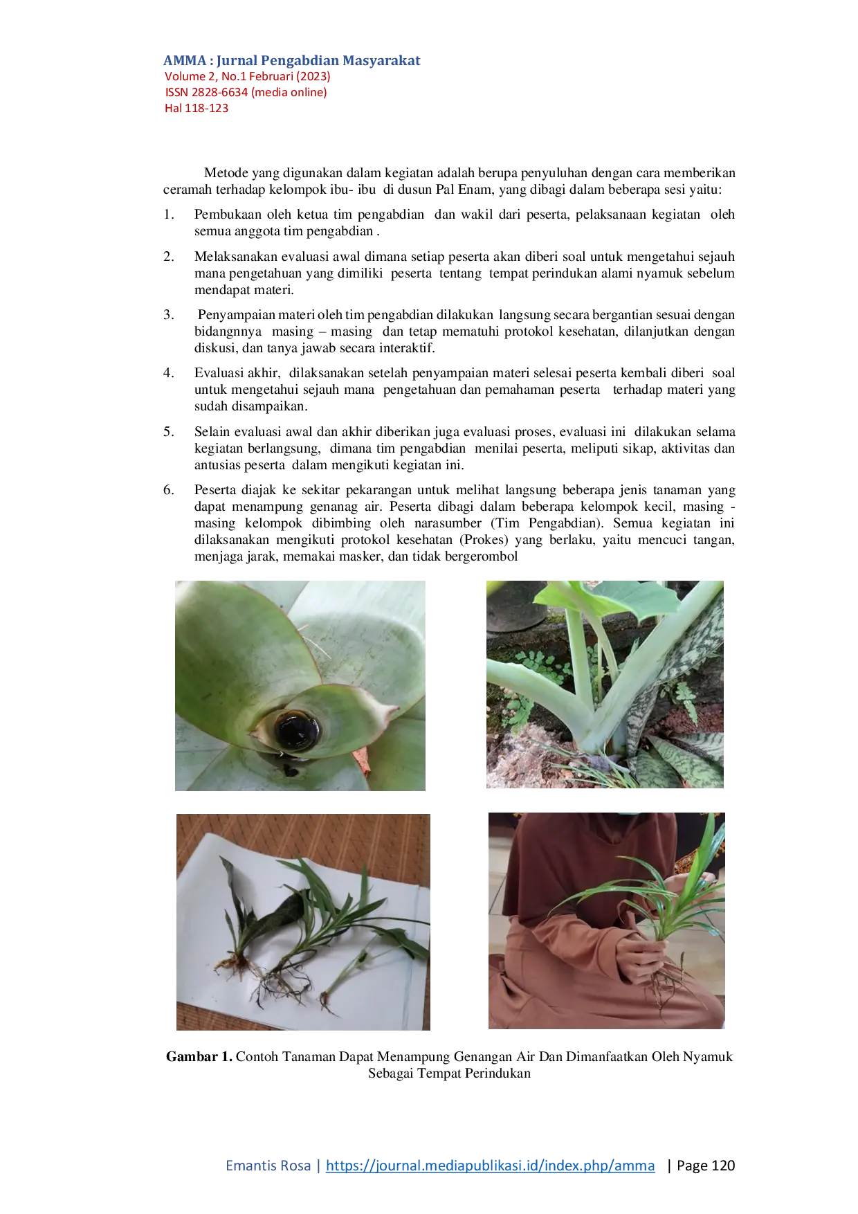 JURIS Penyuluhan Tempat Perindukan Alami Nyamuk Aedes aegypti Vektor DBD di Dusun Pal 6 Kabupaten Lampung Selatan