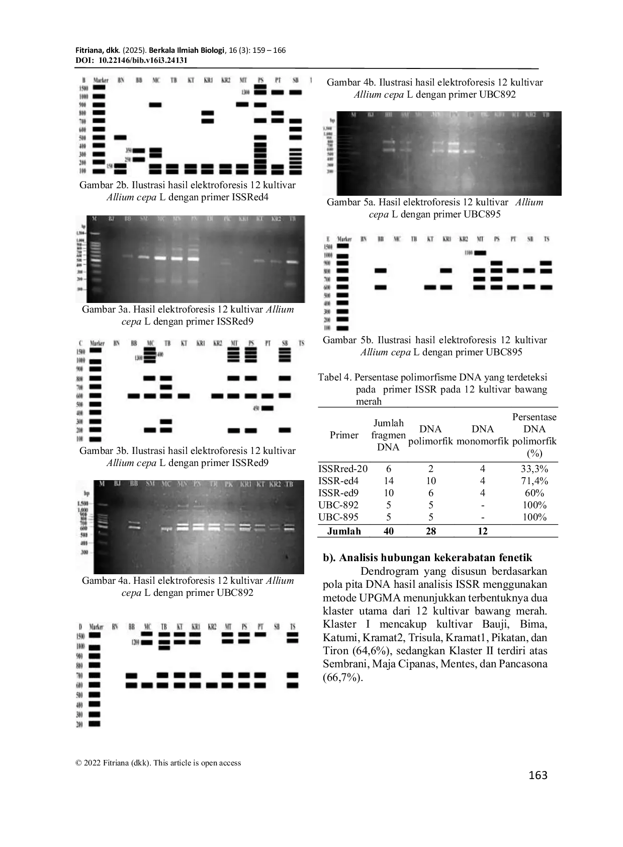 JURIS Analisis Variasi Genotipik Bawang Merah Allium cepa L Di Pulau Jawa Menggunakan Penanda ISSR