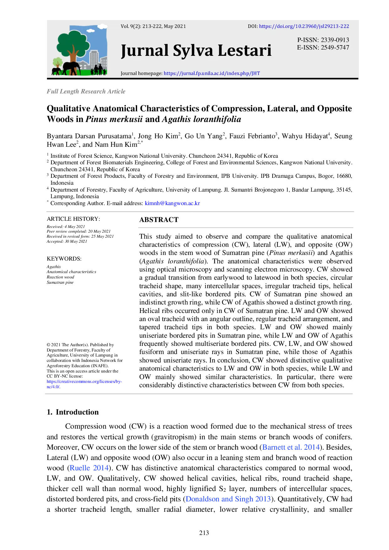 JURIS Qualitative Anatomical Characteristics of Compression Lateral and Opposite Woods in Pinus merkusii and Agathis loranthifolia