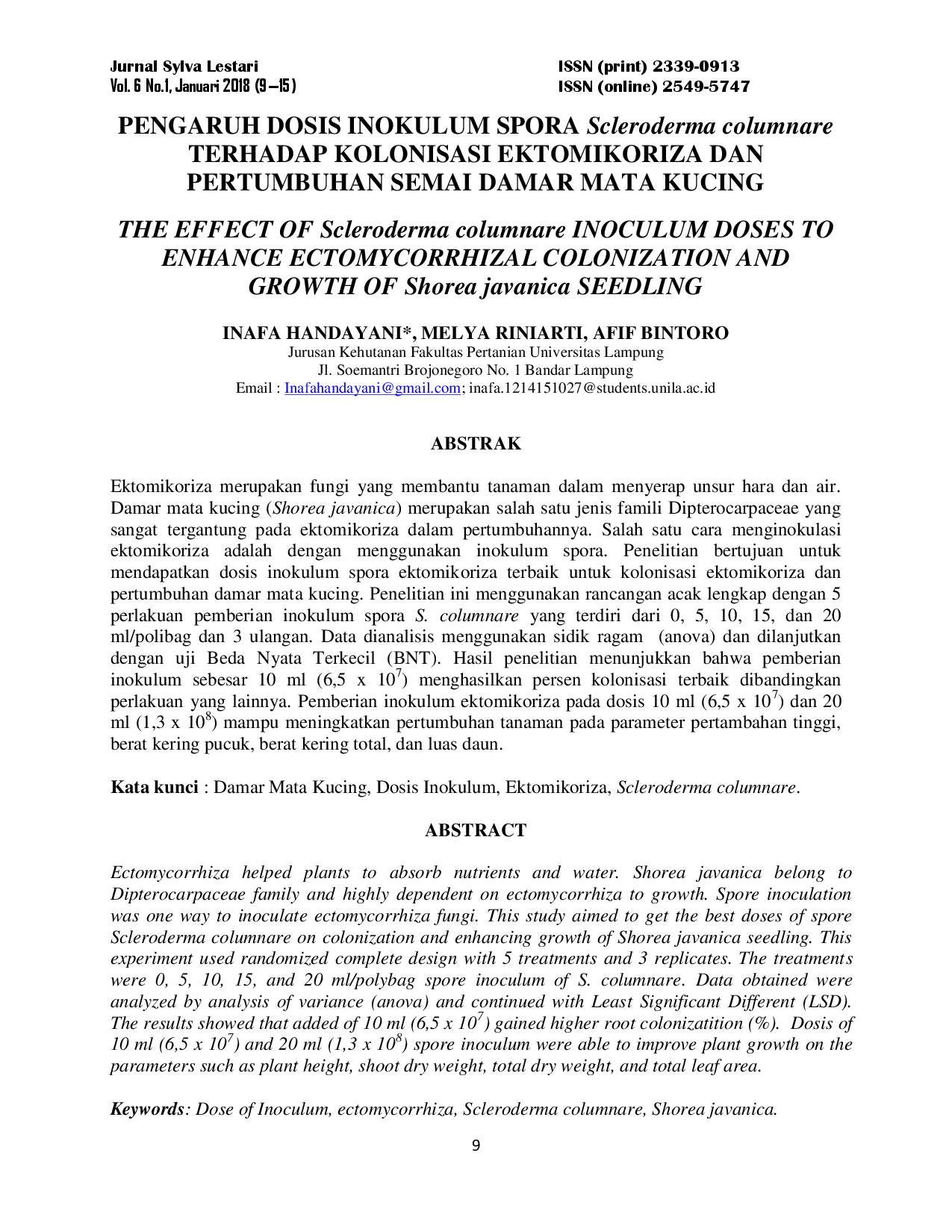 juris Pengaruh Dosis Inokulum Spora Scleroderma columnare terhadap Kolonisasi Ektomikoriza dan Pertumbuhan Semai Damar Mata Kucing The Effect of Scleroderma columnare Inoculum Doses to Enhance Ectomycorrhi