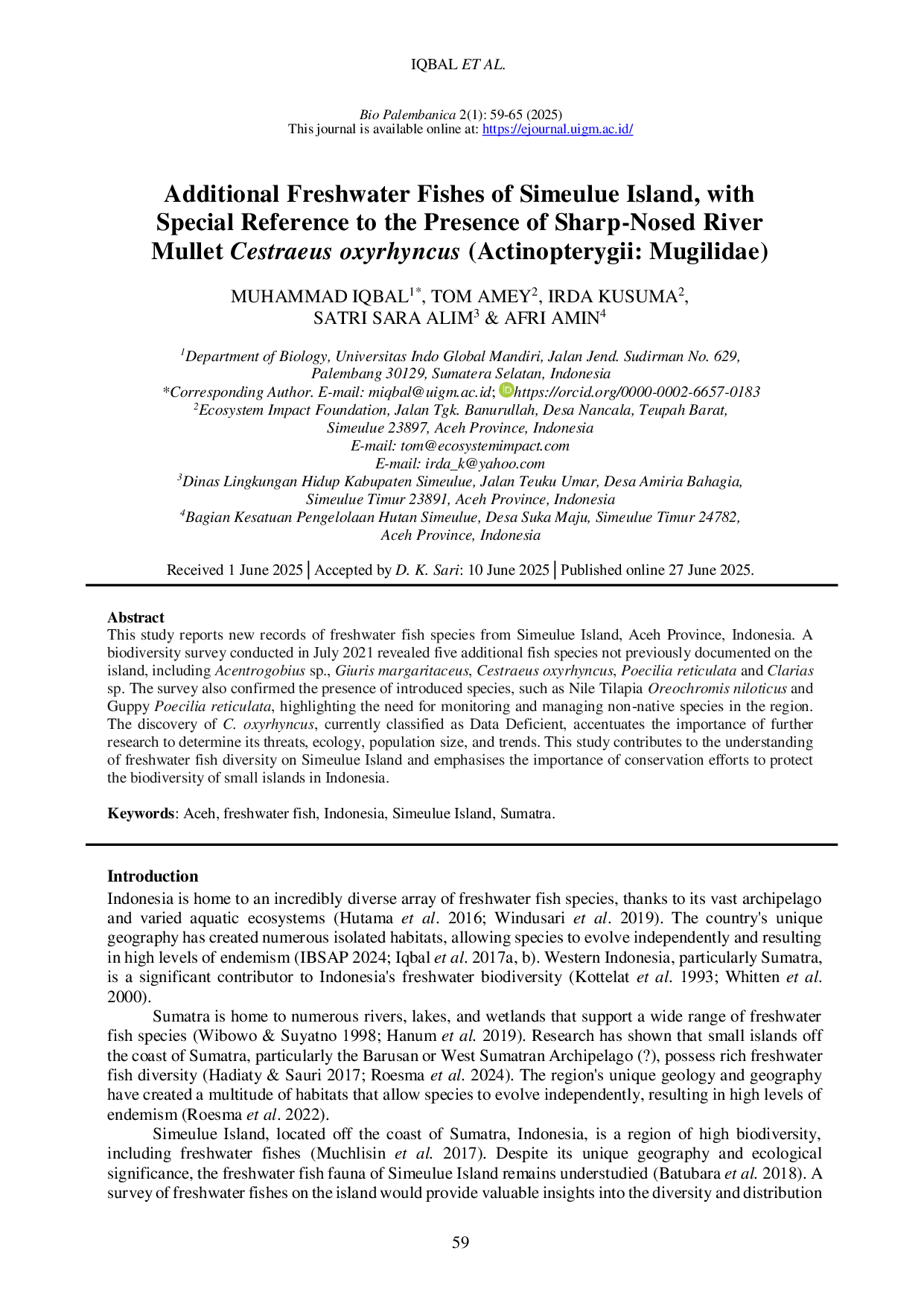 JURIS Additional Freshwater Fishes of Simeulue Island with Special Reference to the Presence of Sharp Nosed River Mullet Cestraeus oxyrhyncus Actinopterygii Mugilidae
