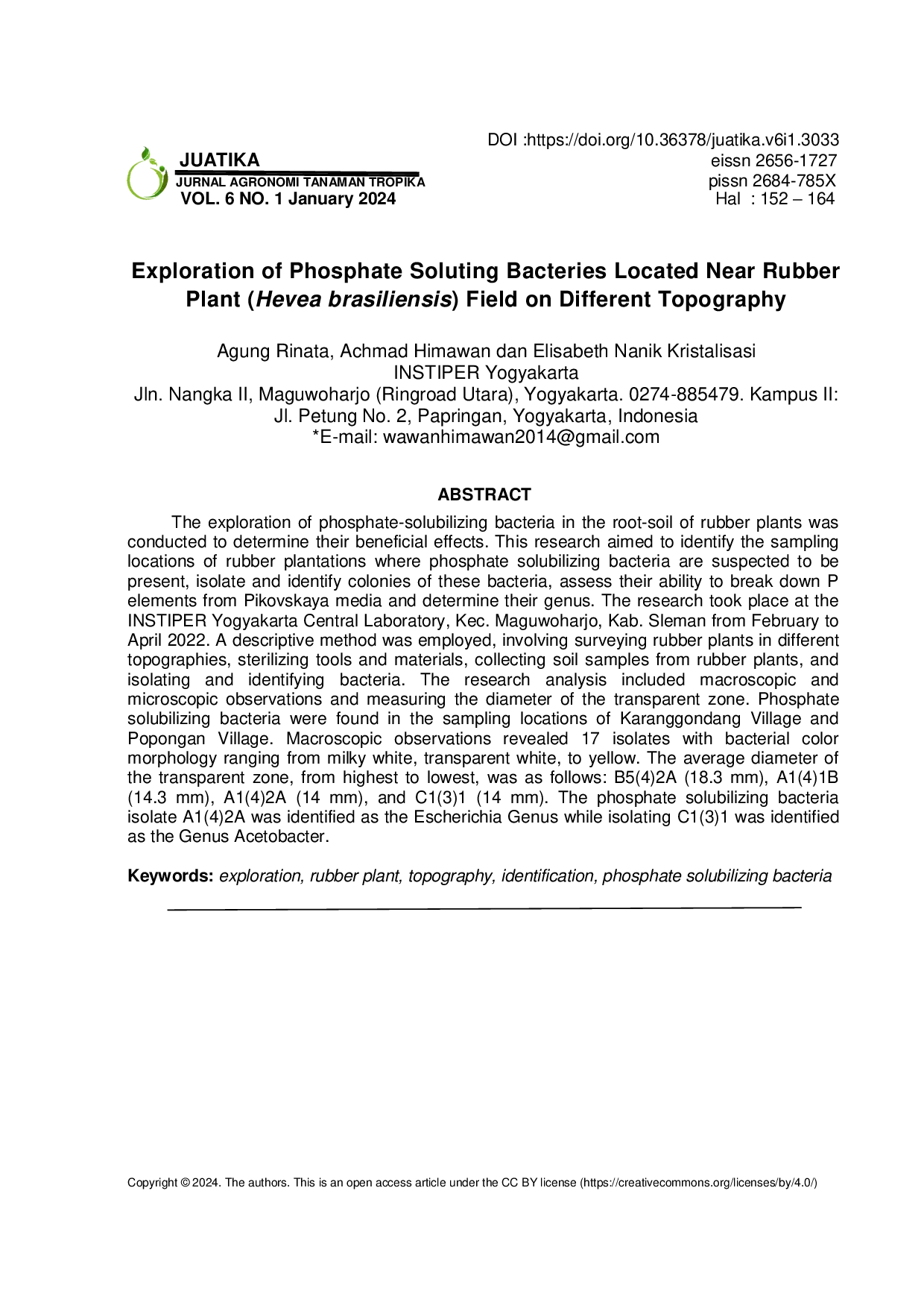 JURIS Exploration of Phosphate Soluting Bacteries Located Near Rubber Plant Hevea brasiliensis Field on Different Topography
