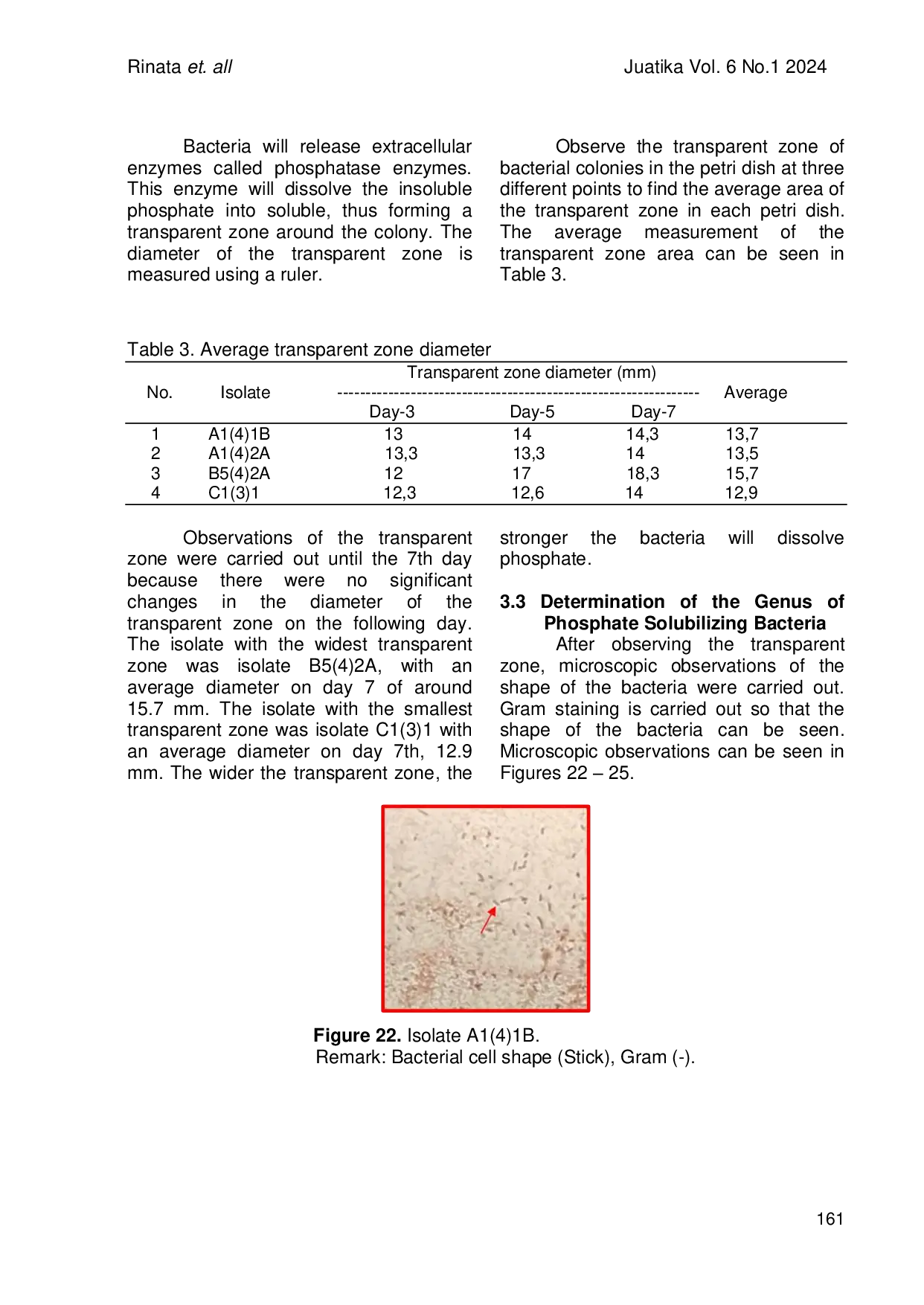 JURIS Exploration of Phosphate Soluting Bacteries Located Near Rubber Plant Hevea brasiliensis Field on Different Topography