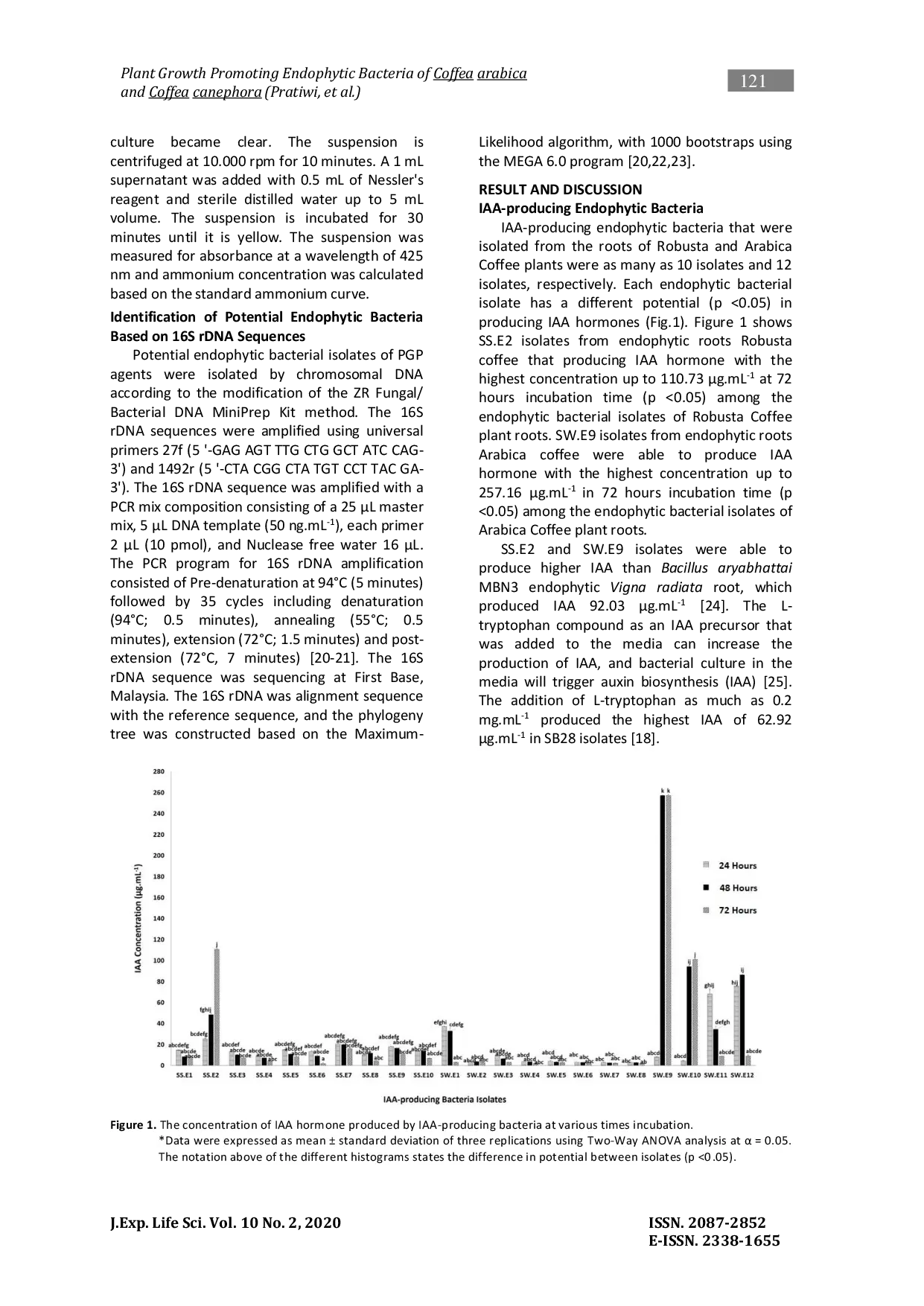 JURIS Plant Growth Promoting Endophytic Bacteria of Coffea canephora and Coffea arabica L in UB Forest
