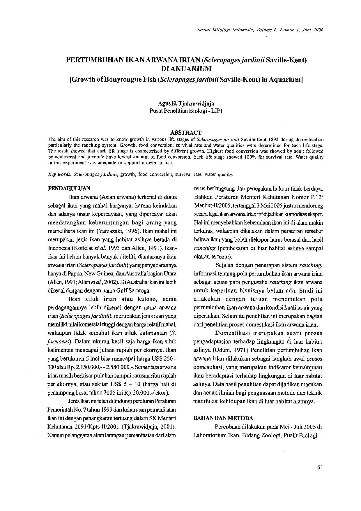 JURIS PERTUMBUHAN IKAN ARWANA IRIAN Scleropages jardinii Saville Kent DI AKUARIUM Growth of Bonytongue Fish Scleropages jardinii Saville Kent in Aquarium
