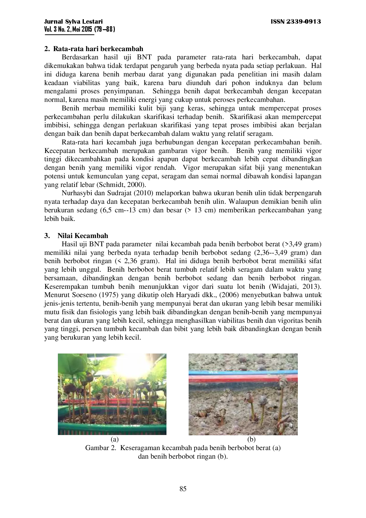 juris Pengaruh Ukuran Berat Benih Terhadap Perkecambahan Benih Merbau Darat Intsia Palembanica