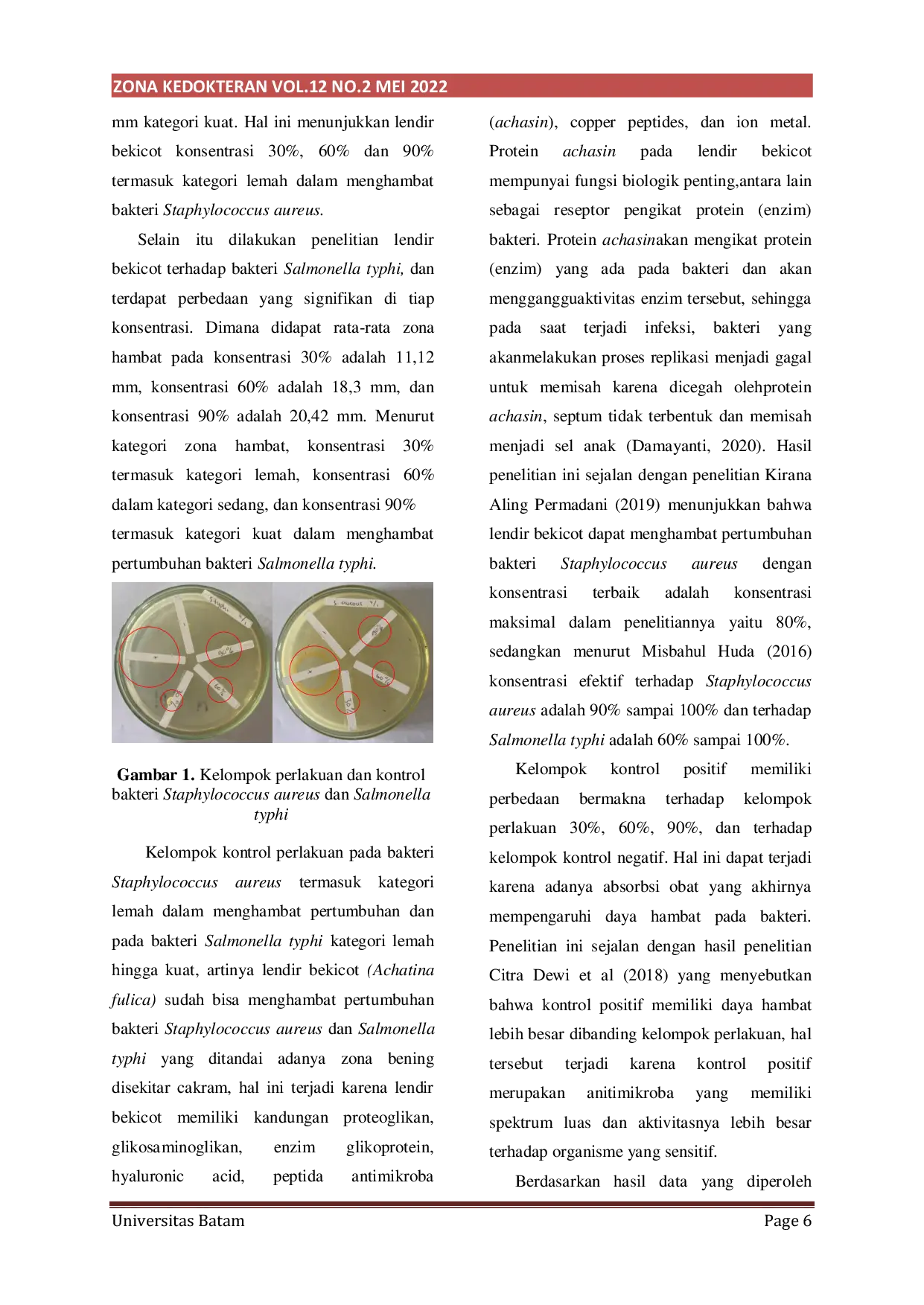 JURIS Uji Daya Hambat Lendir Bekicot Achatina Fulica terhadap Pertumbuhan Bakteri Staphylococcus Aureus dan Salmonella Typhi