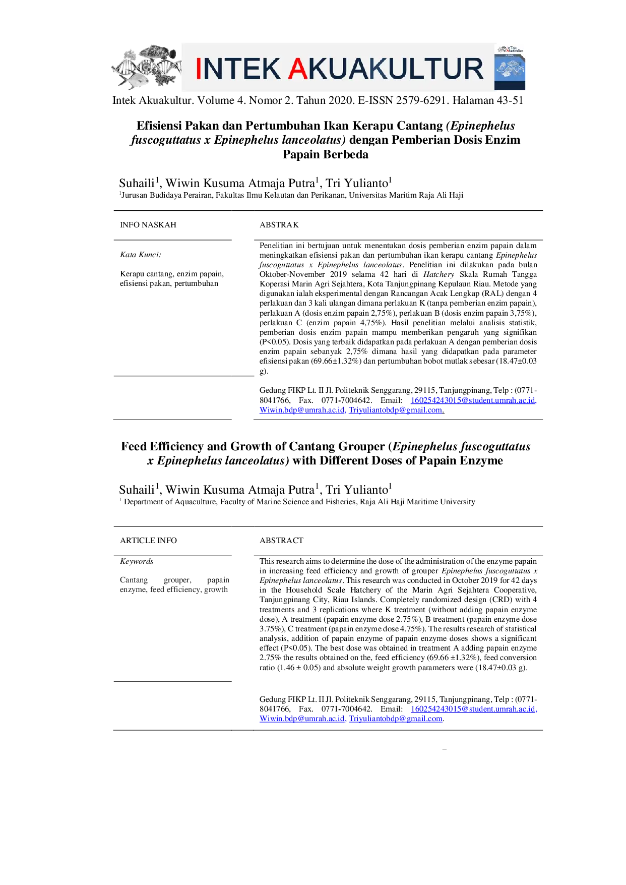 JURIS Efisiensi Pakan dan Pertumbuhan Ikan Kerapu Cantang Epinephelus fuscoguttatus x Epinephelus lanceolatus dengan Pemberian Dosis Enzim Papain Berbeda
