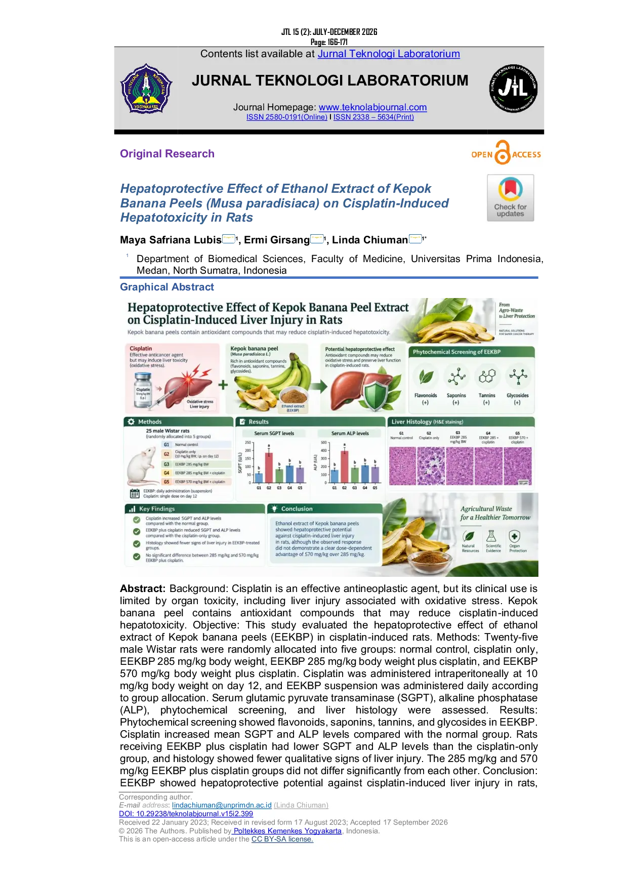 JURIS Hepatoprotective Effect of Ethanol Extract of Kepok Banana Musa paradisiaca Peels on Cisplatin induced Rats