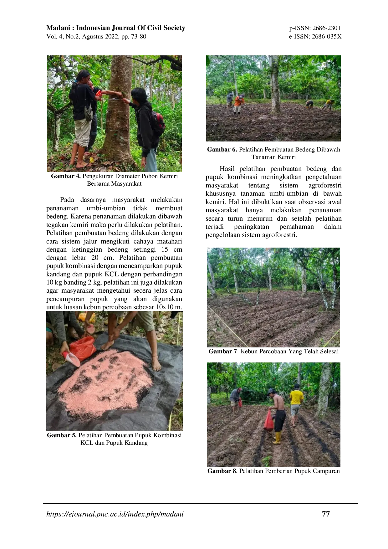 JURIS Aplikatif Sistem Agroforestri Pada Tanaman Umbi umbian Lokal dan Kemiri dalam Upaya Peningkatan Pendapatan