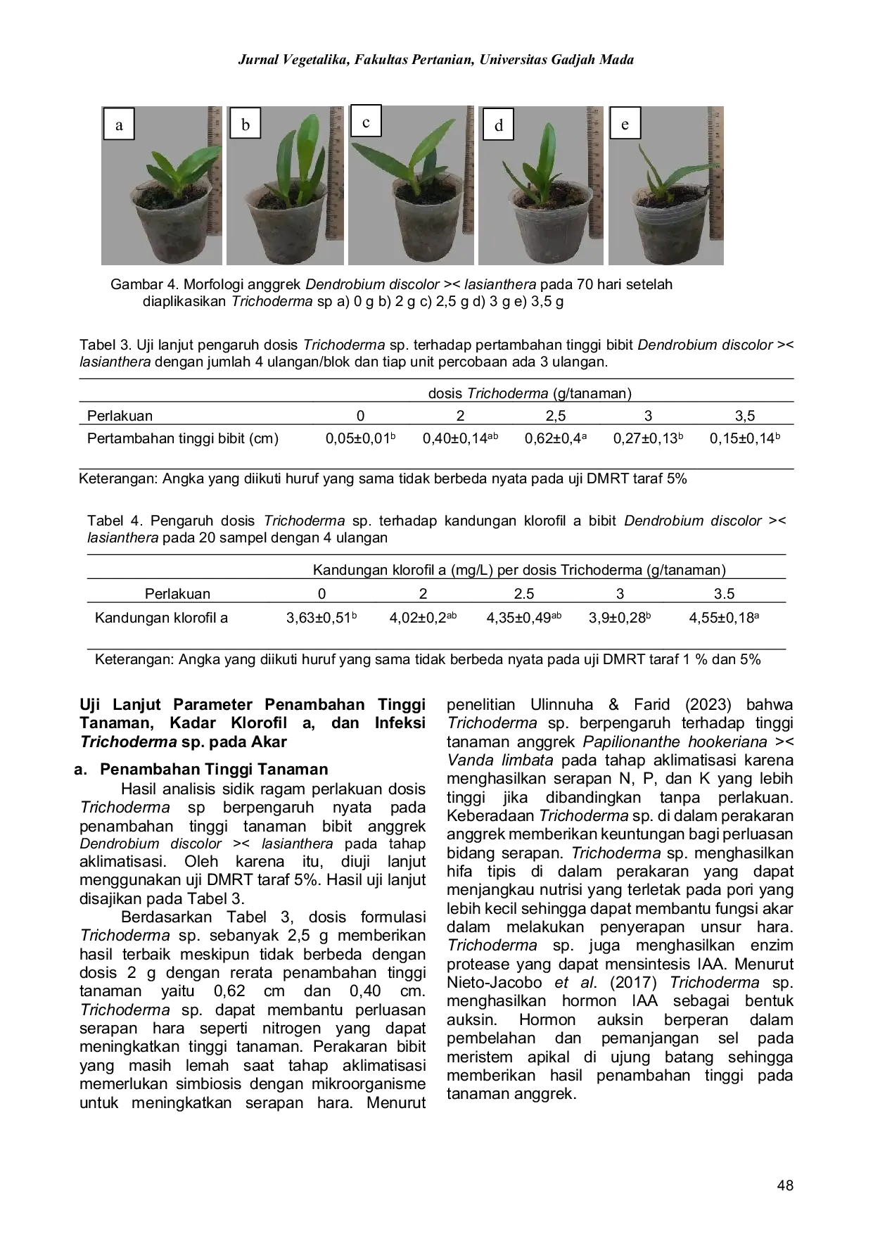 JURIS Pengaruh Dosis Isolat Trichoderma Lokal pada Media Tanam untuk Pertumbuhan Bibit Hibrida Dendrobium discolor lasianthera