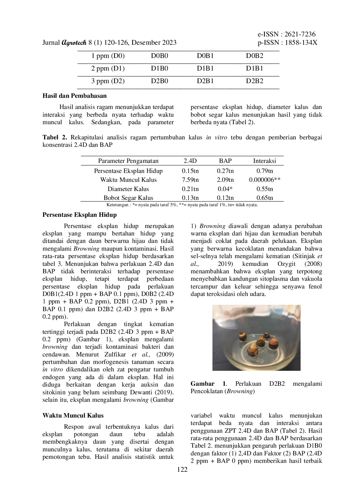 JURIS Respon Induksi Kalus Tanaman Tebu Saccharum officinarum L Varietas ASA Agribun Terhadap Pemberian Berbagai Konsentrasi 2 4 D Dichlorophenoxyacetic dan BAP Benzly Amino Purine