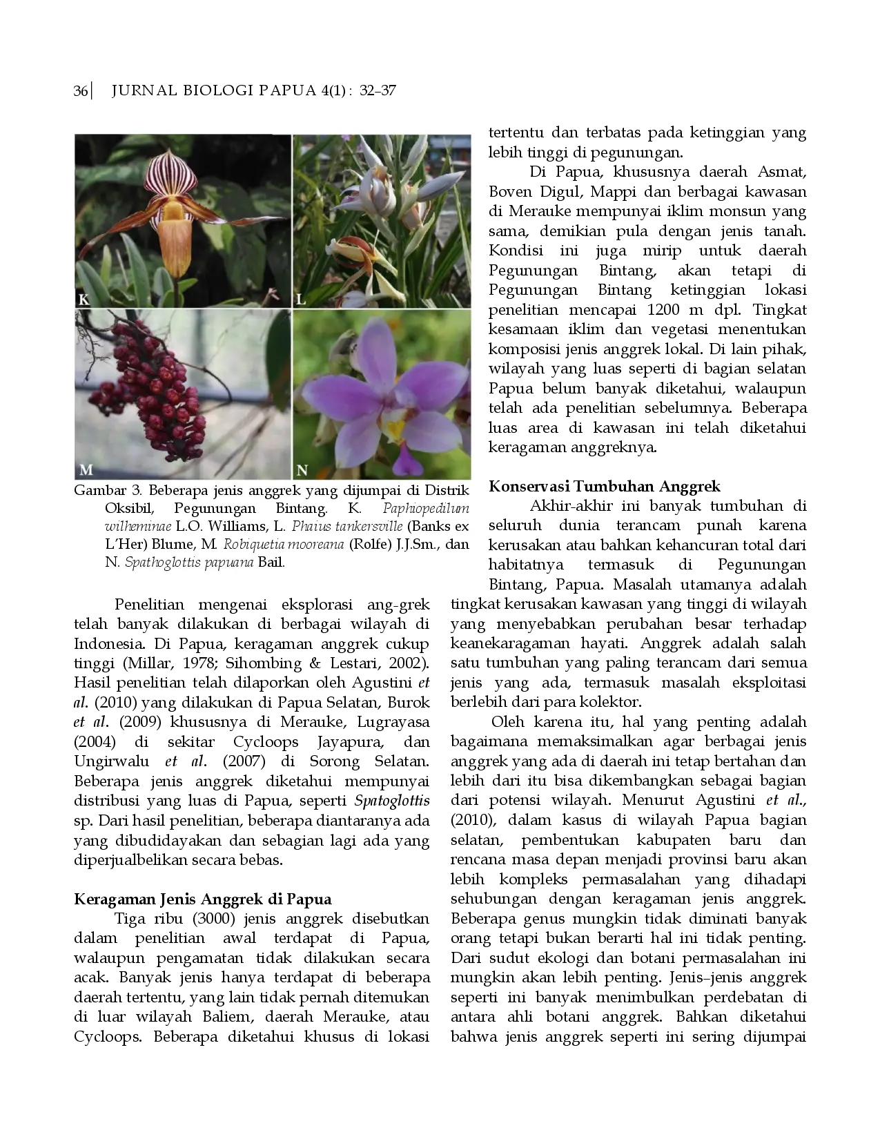 juris Keragaman Jenis Anggrek di Kawasan Hutan Distrik Oksibil Pegunungan Bintang Papua