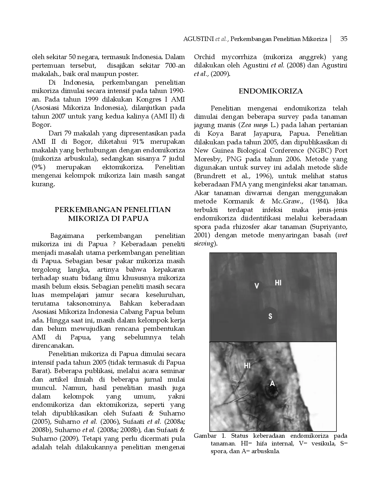 juris Perkembangan Penelitian Mikoriza di Papua