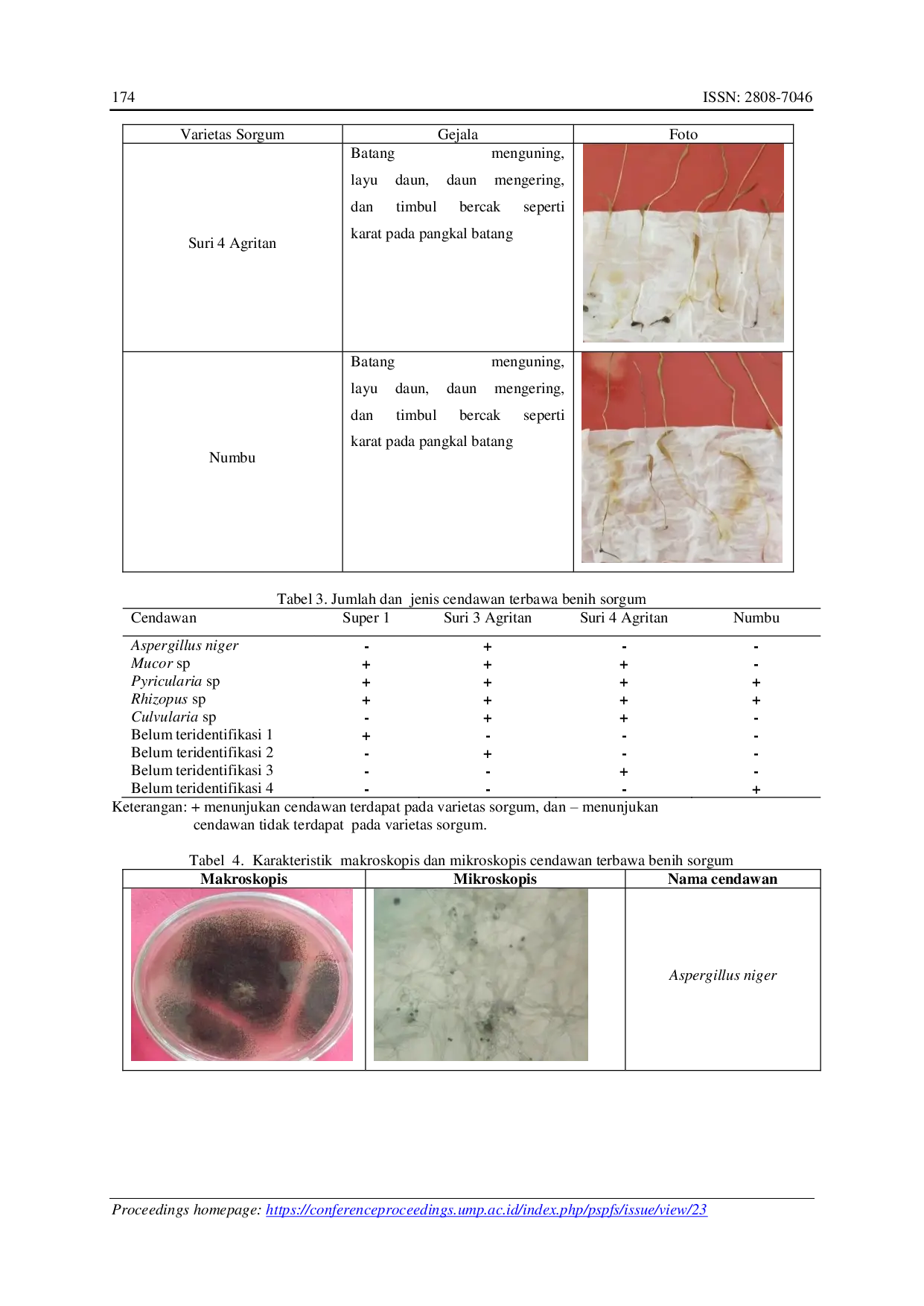 JURIS Pengujian Kesehatan 4 Varietas Benih Sorgum Sorghum bicolor L