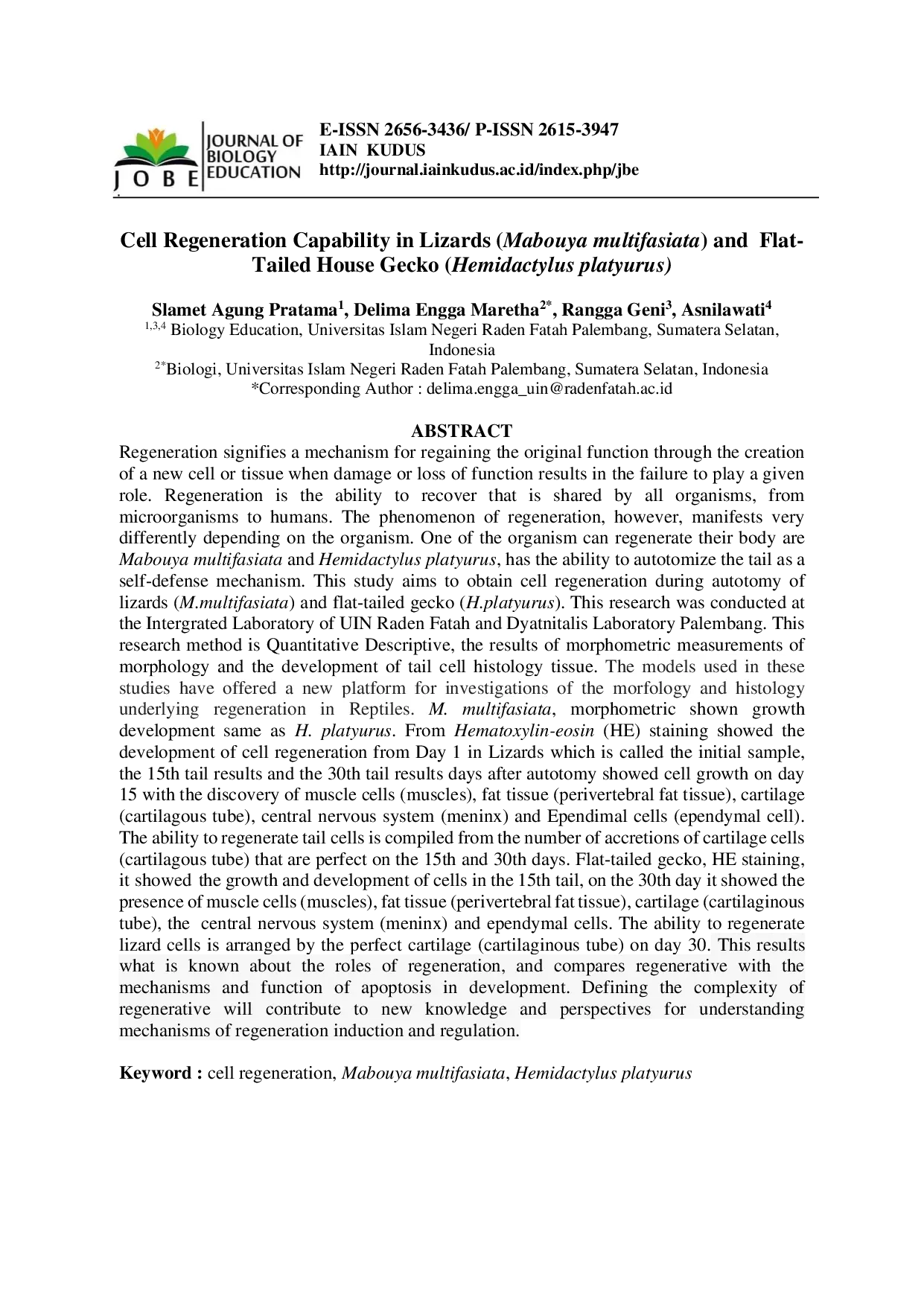 JURIS Cell Regeneration Capability in Lizards Mabouya multifasiata and Flat Tailed House Gecko Hemidactylus platyurus