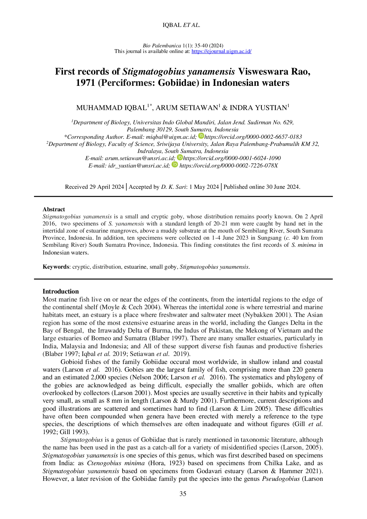 JURIS First records of Stigmatogobius yanamensis Visweswara Rao 1971 Perciformes Gobiidae in Indonesian waters